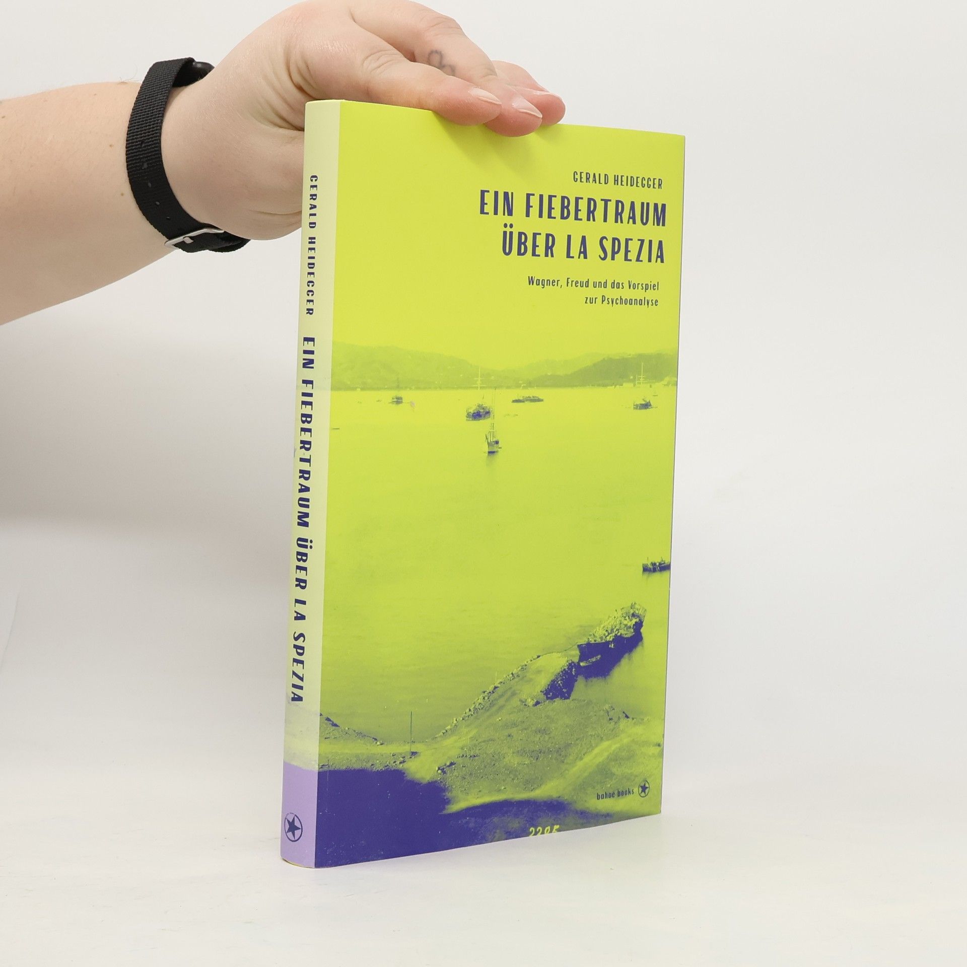 Gerald Heidegger Ein Fiebertraum über La Spezia