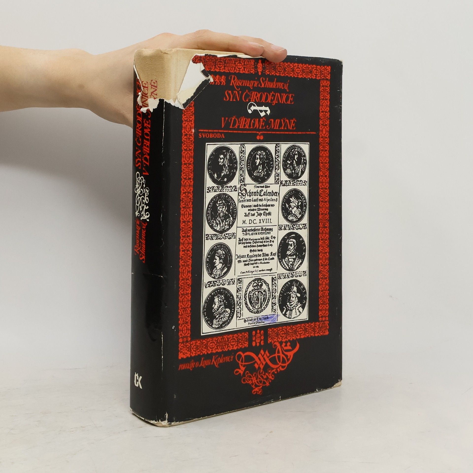 Rosemarie Schuder Syn čarodějnice. V ďáblově mlýně