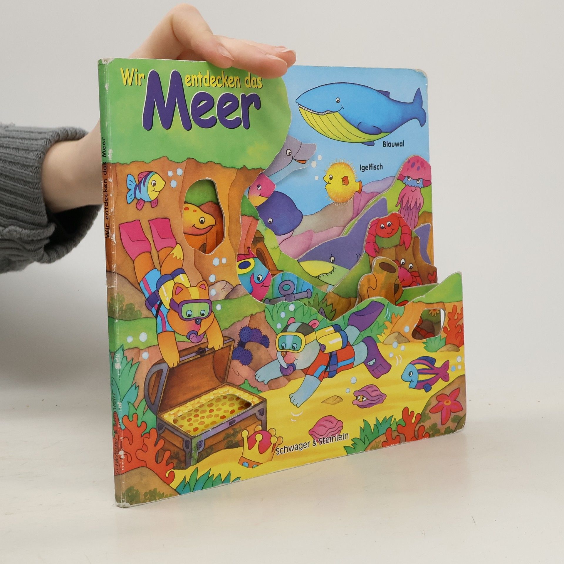 Autorenkollektiv Wir entdecken das Meer