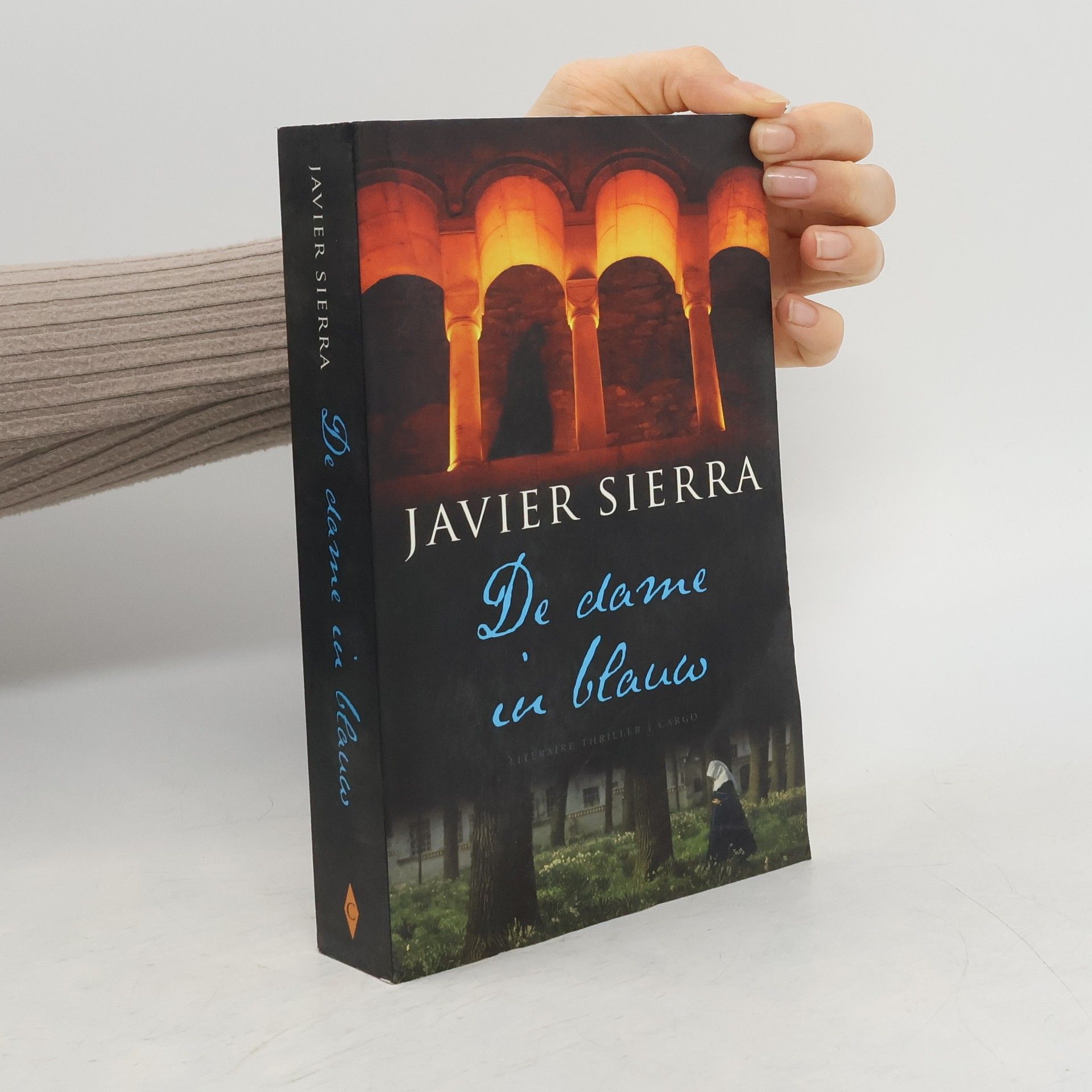 Javier Sierra De dame in blauw