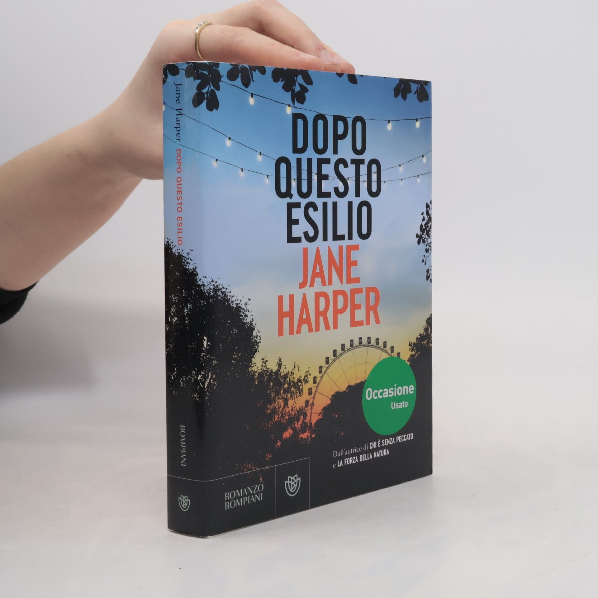 Jane Harper Dopo questo esilio