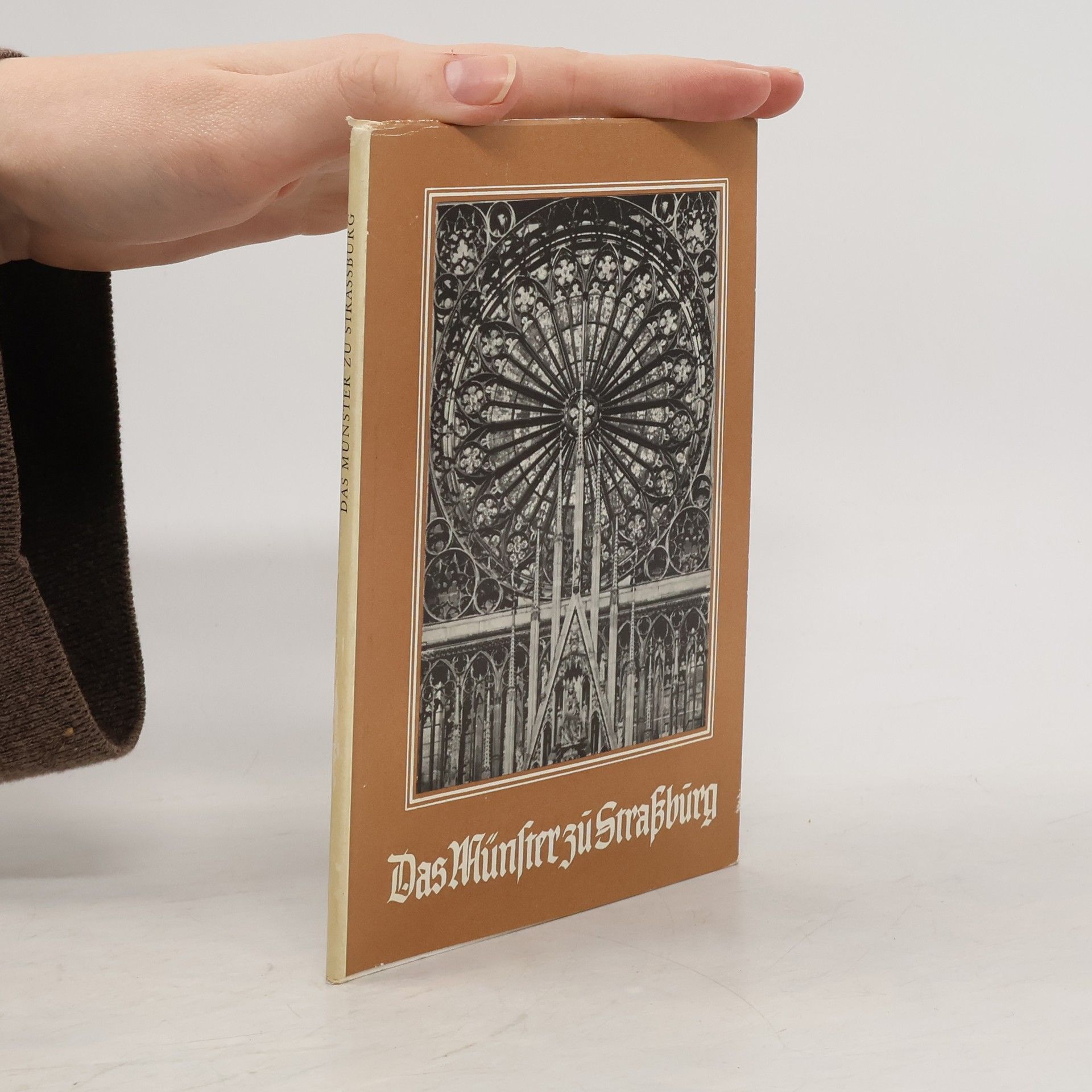 August Raichle Das Münster zu Strassburg