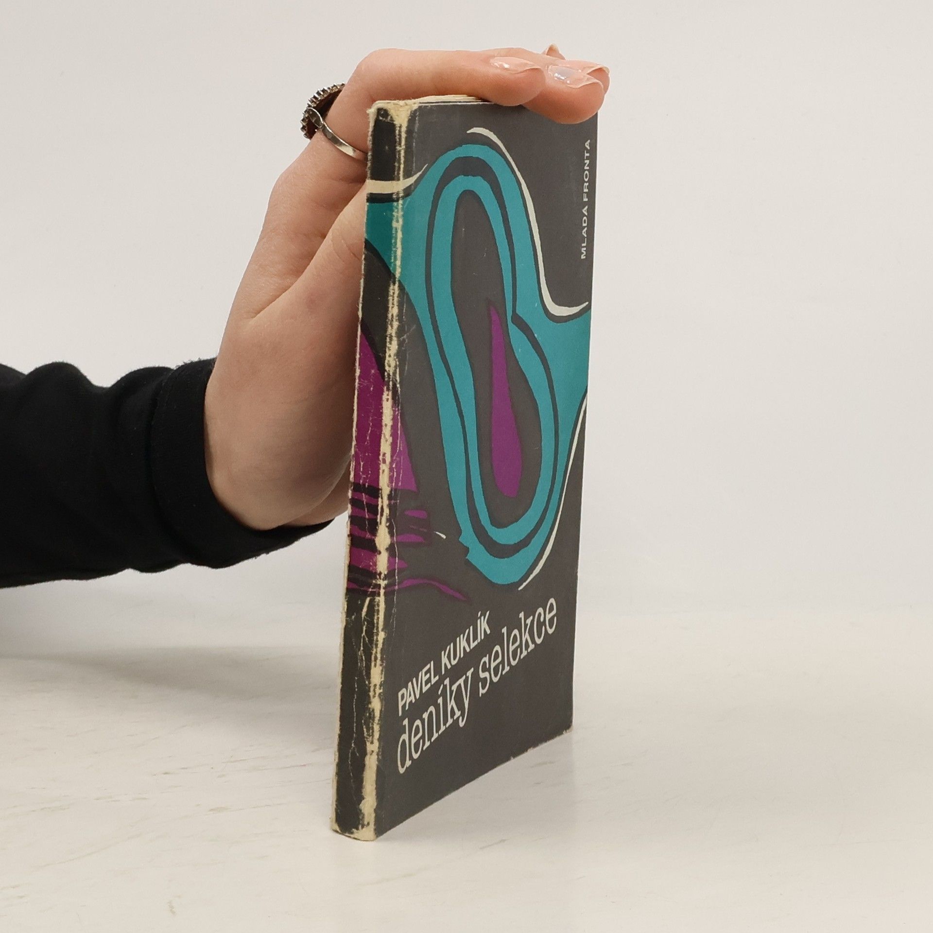 Pavel Kuklík Deníky selekce