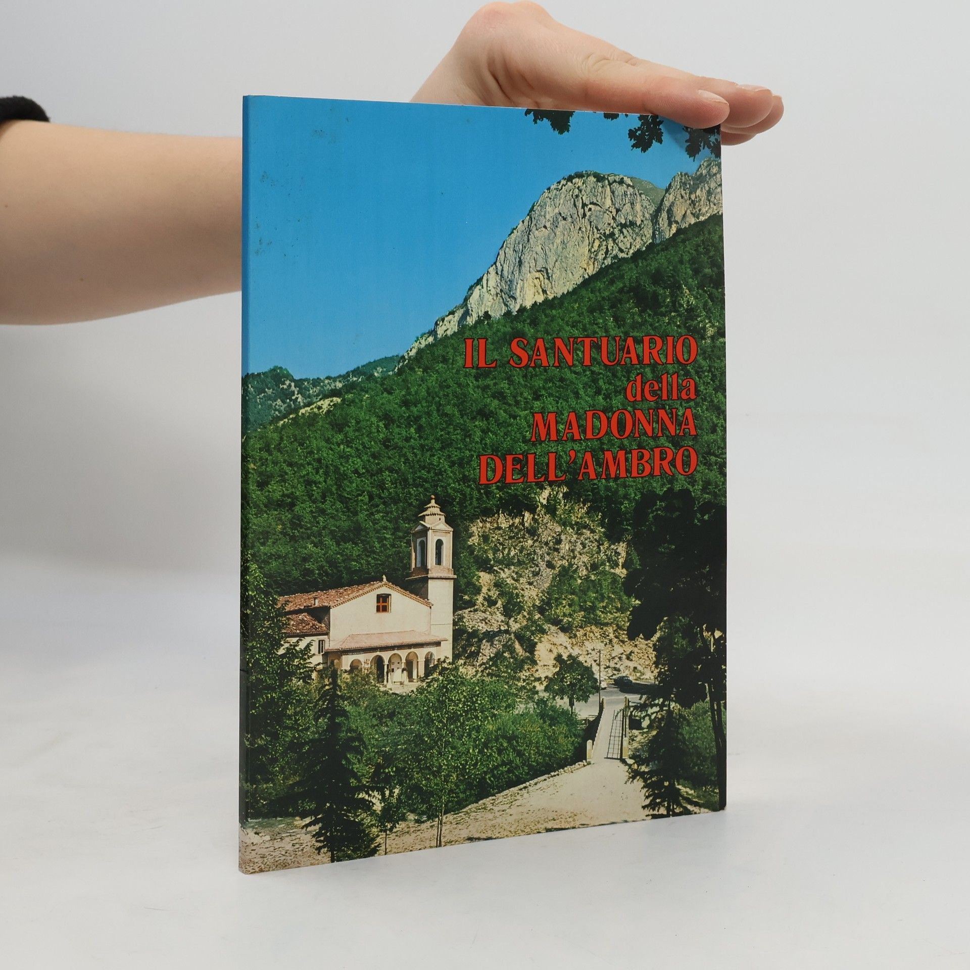 Collectif d'auteurs Il santuario della madonna dell'ambro