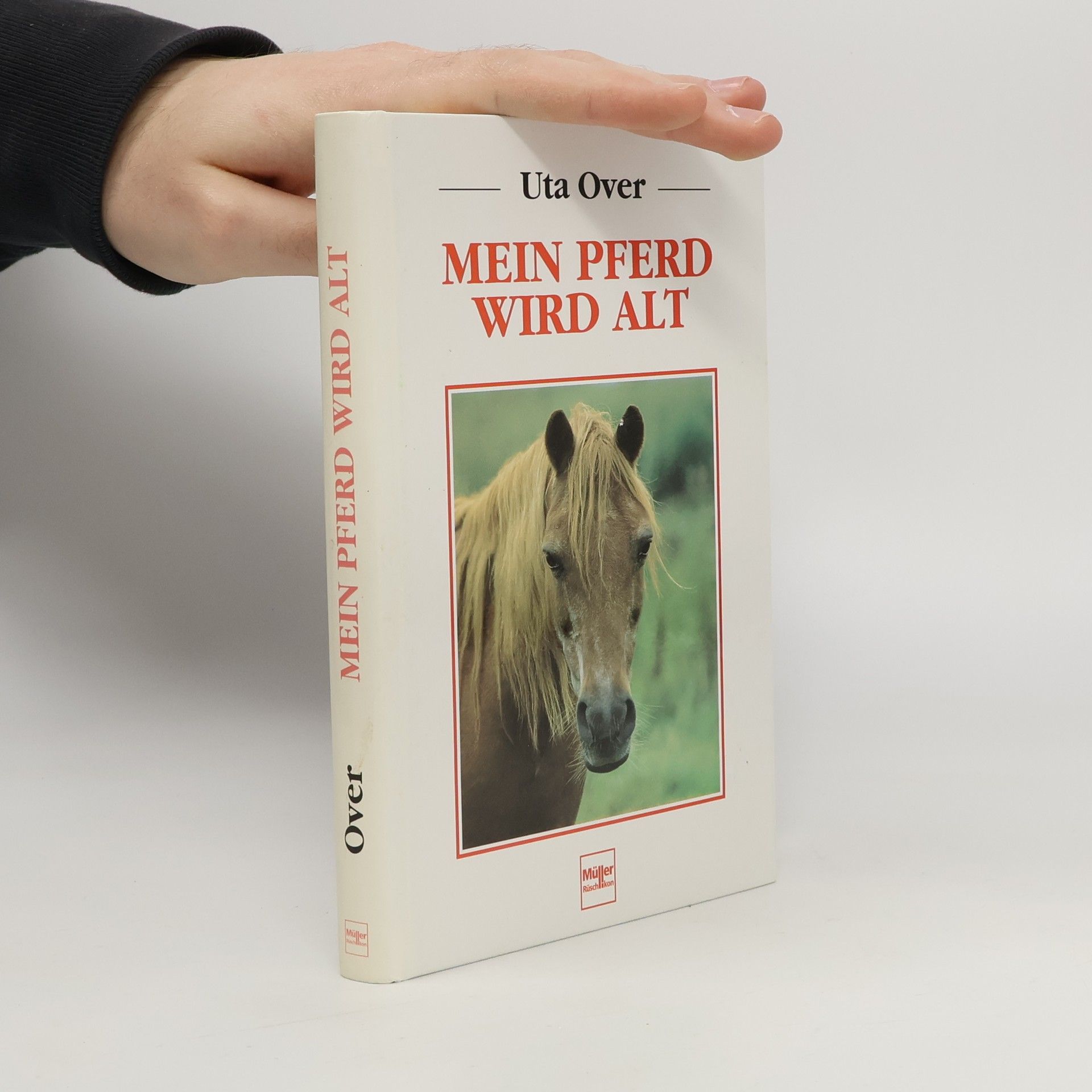 Mein Pferd wird alt