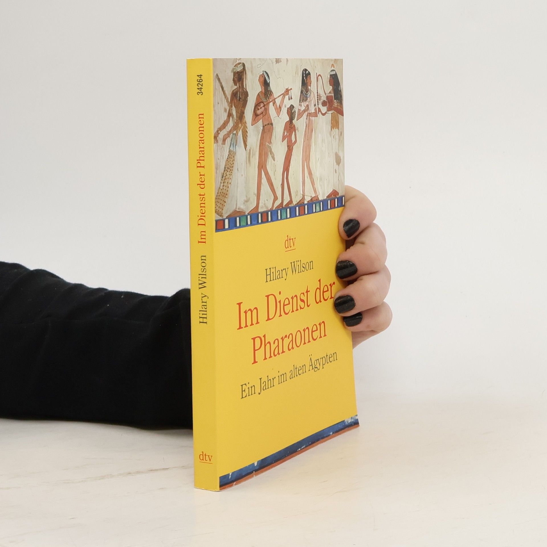 Hilary Wilson Im Dienst der Pharaonen