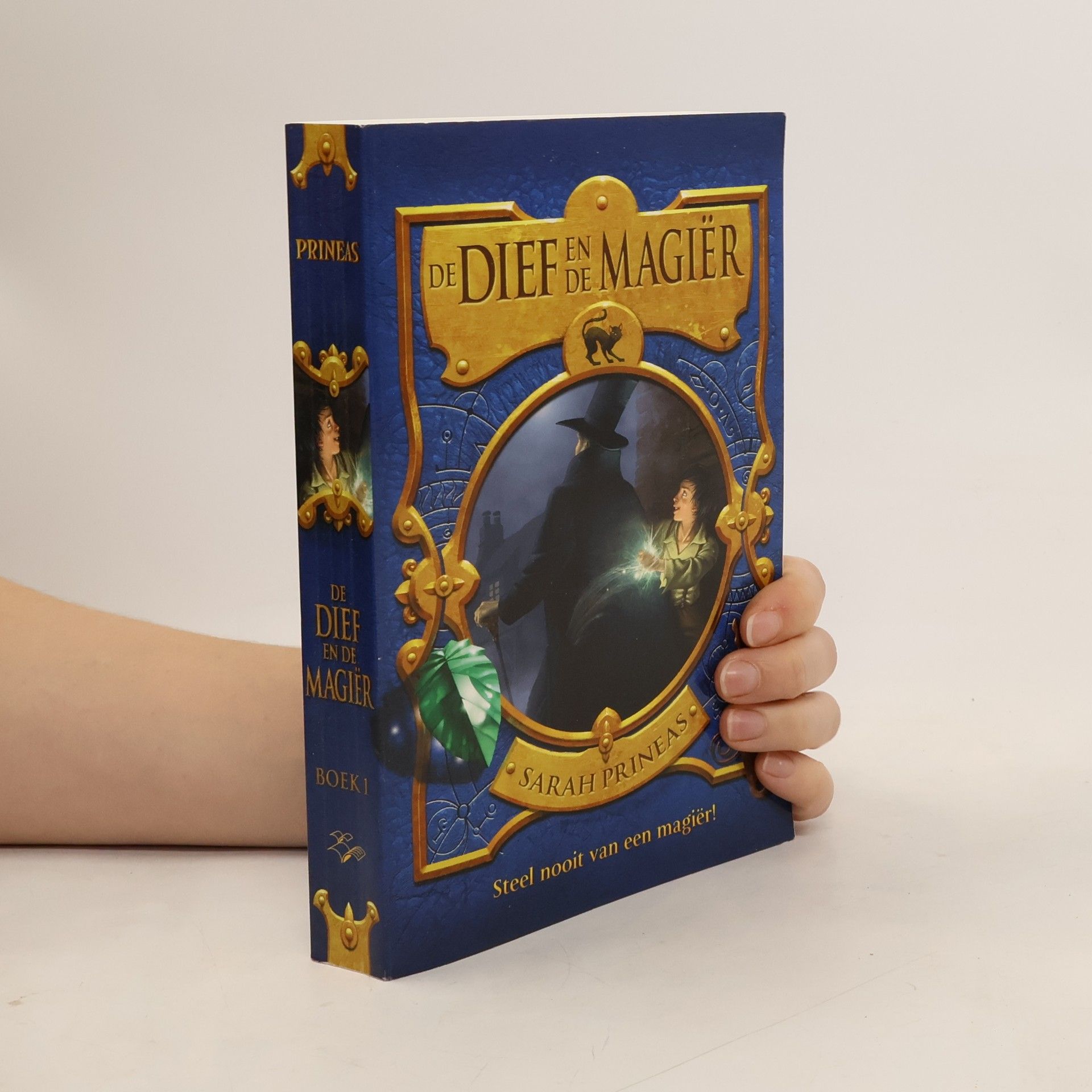 Sarah Prineas De dief en de magiër. Steel nooit van een magier