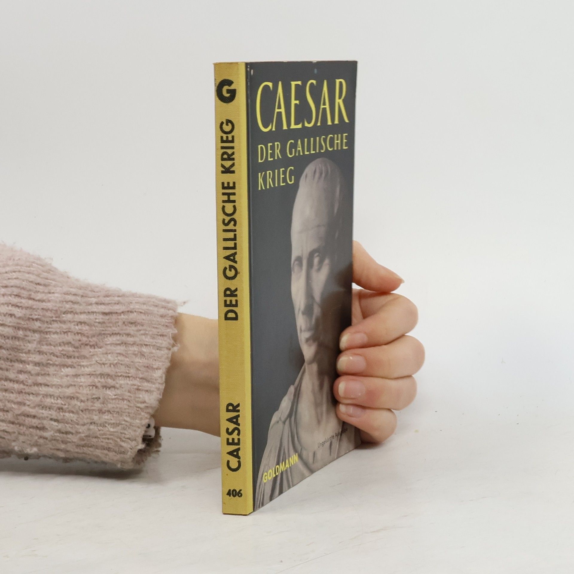 Autorenkollektiv Caesar. Der Gallische Krieg