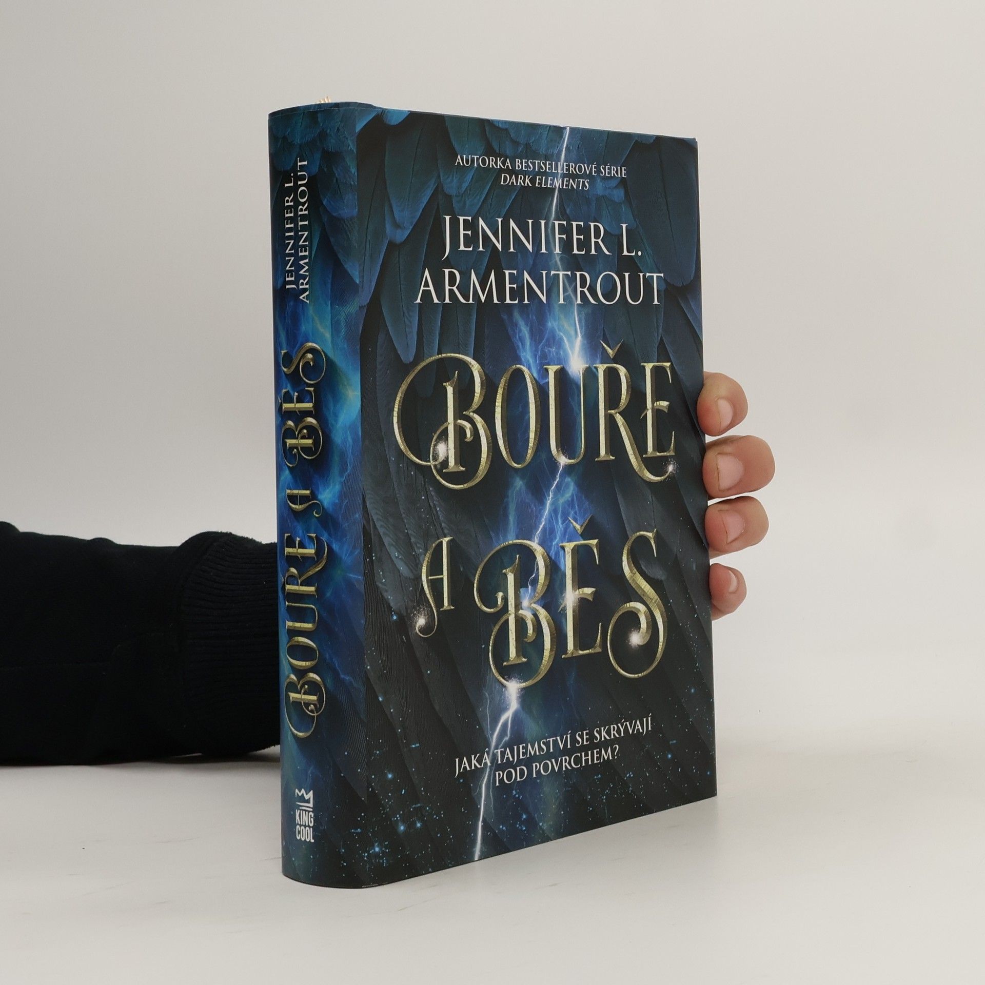 Jennifer L. Armentrout Bouře a běs