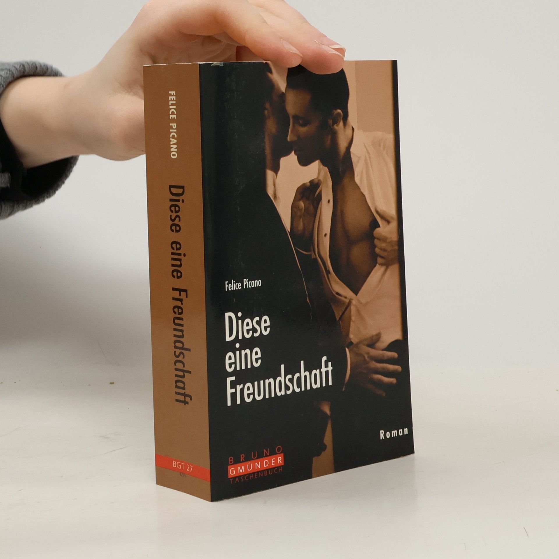 Felice Picano Bruno Gmünder Taschenbuch - 27: Diese eine Freundschaft
