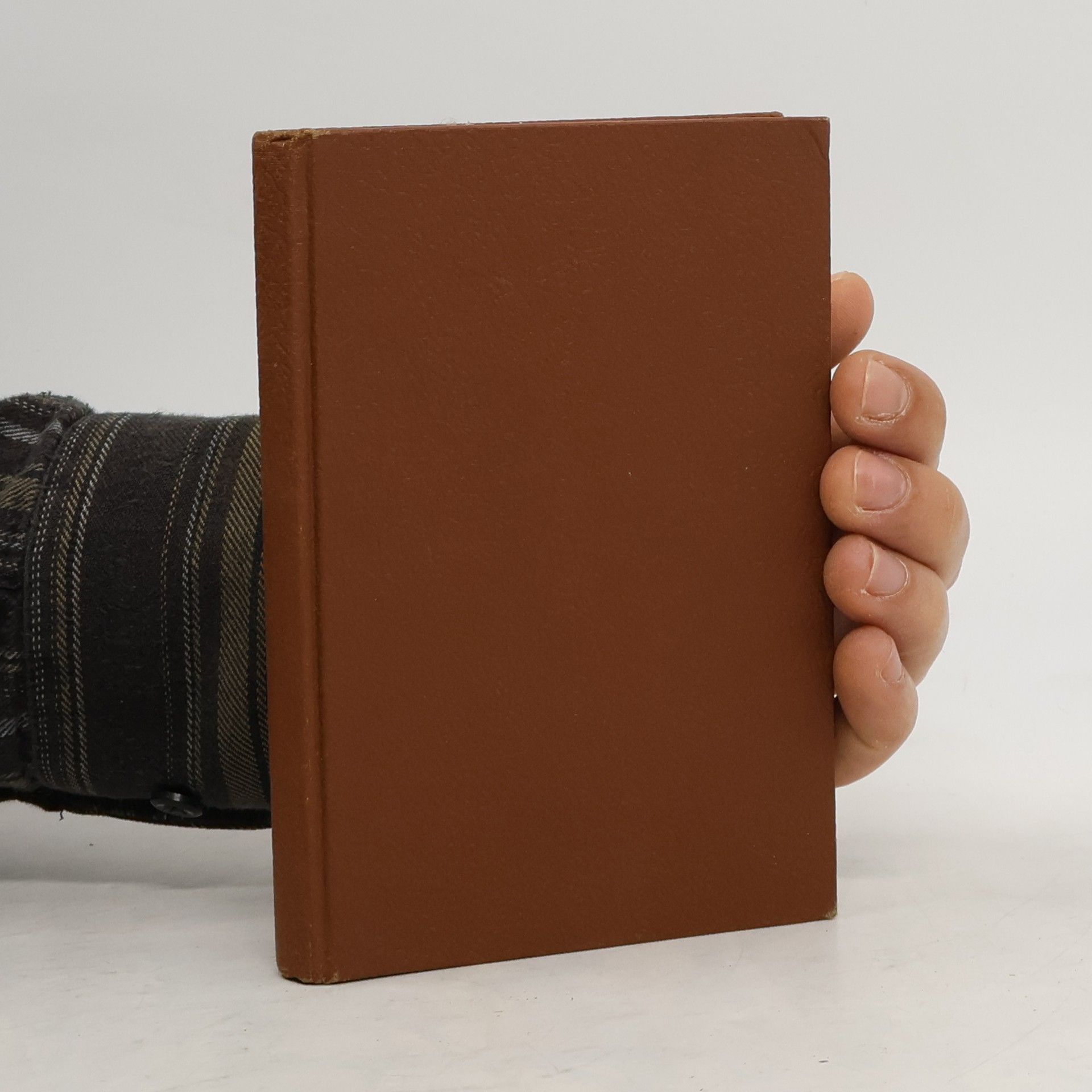 Levin Schücking Die Turmschwalbe