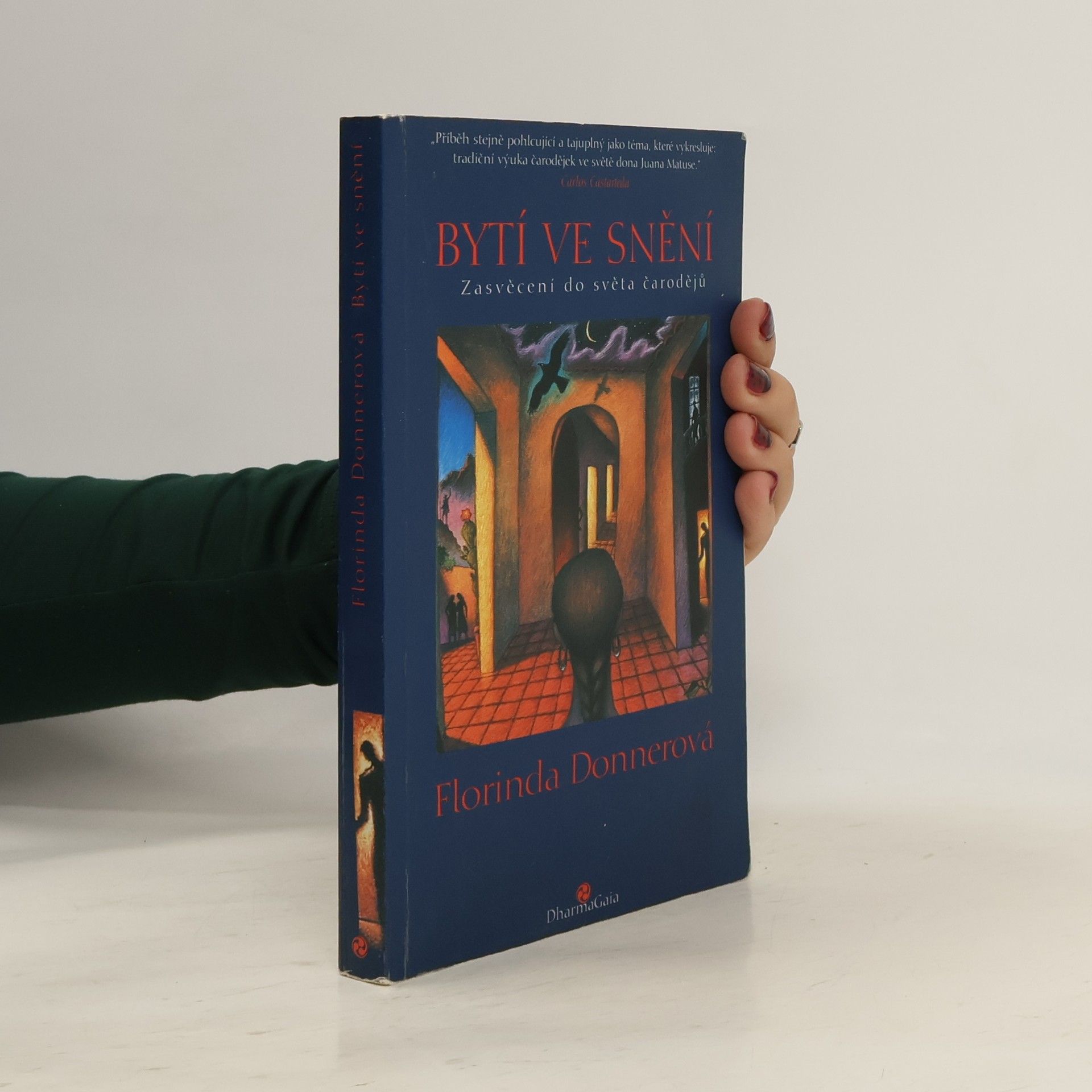 Florinda Donner Bytí ve snění