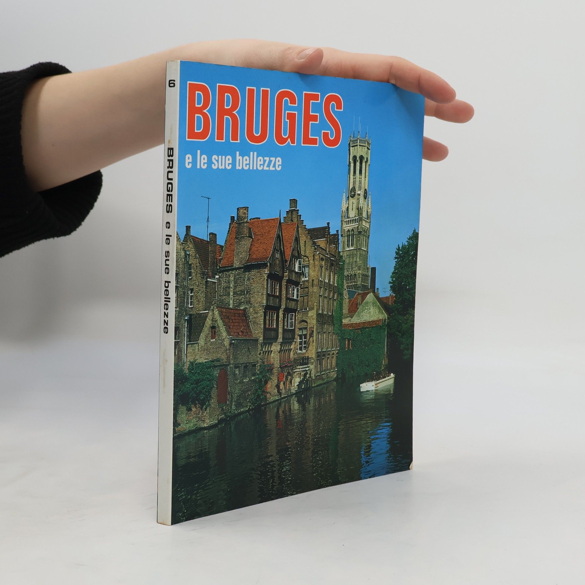 Autorenkollektiv Bruges e le sue bellezze