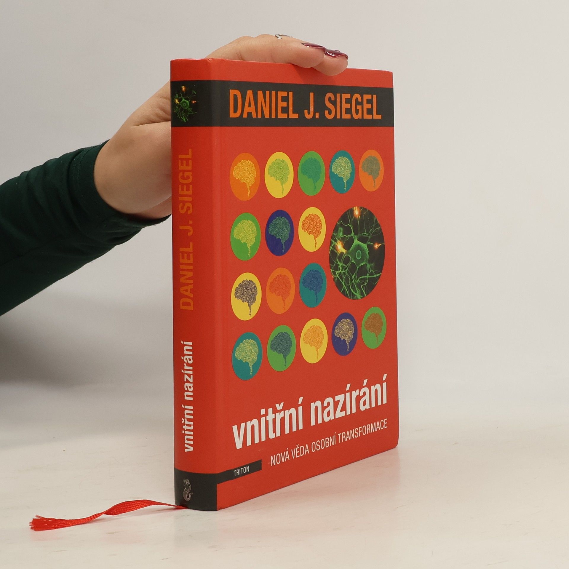 Daniel J. Siegel Vnitřní nazírání