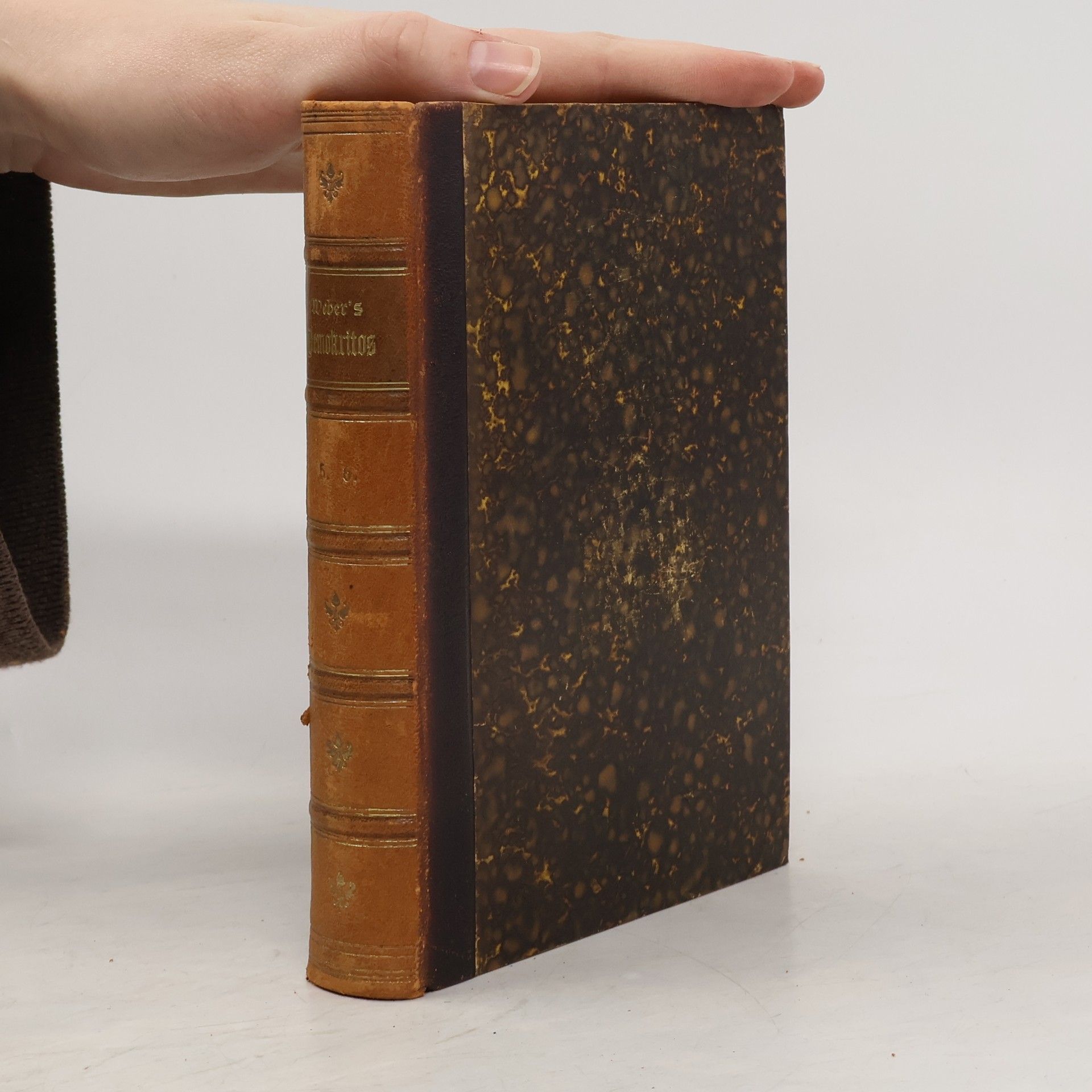 Autorenkollektiv Demokritos oder hinterlassene Papiere eines lachenden Philosophen 5