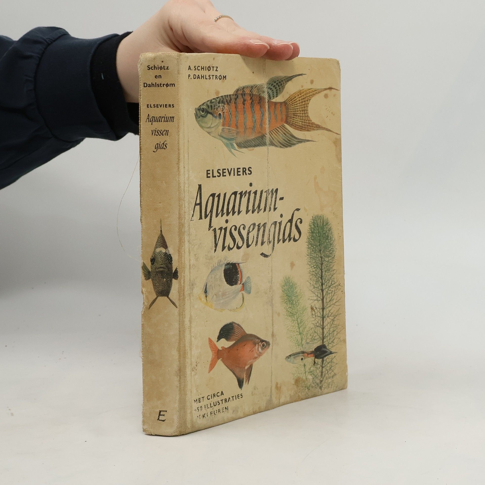 Elseviers aquariumvissengids