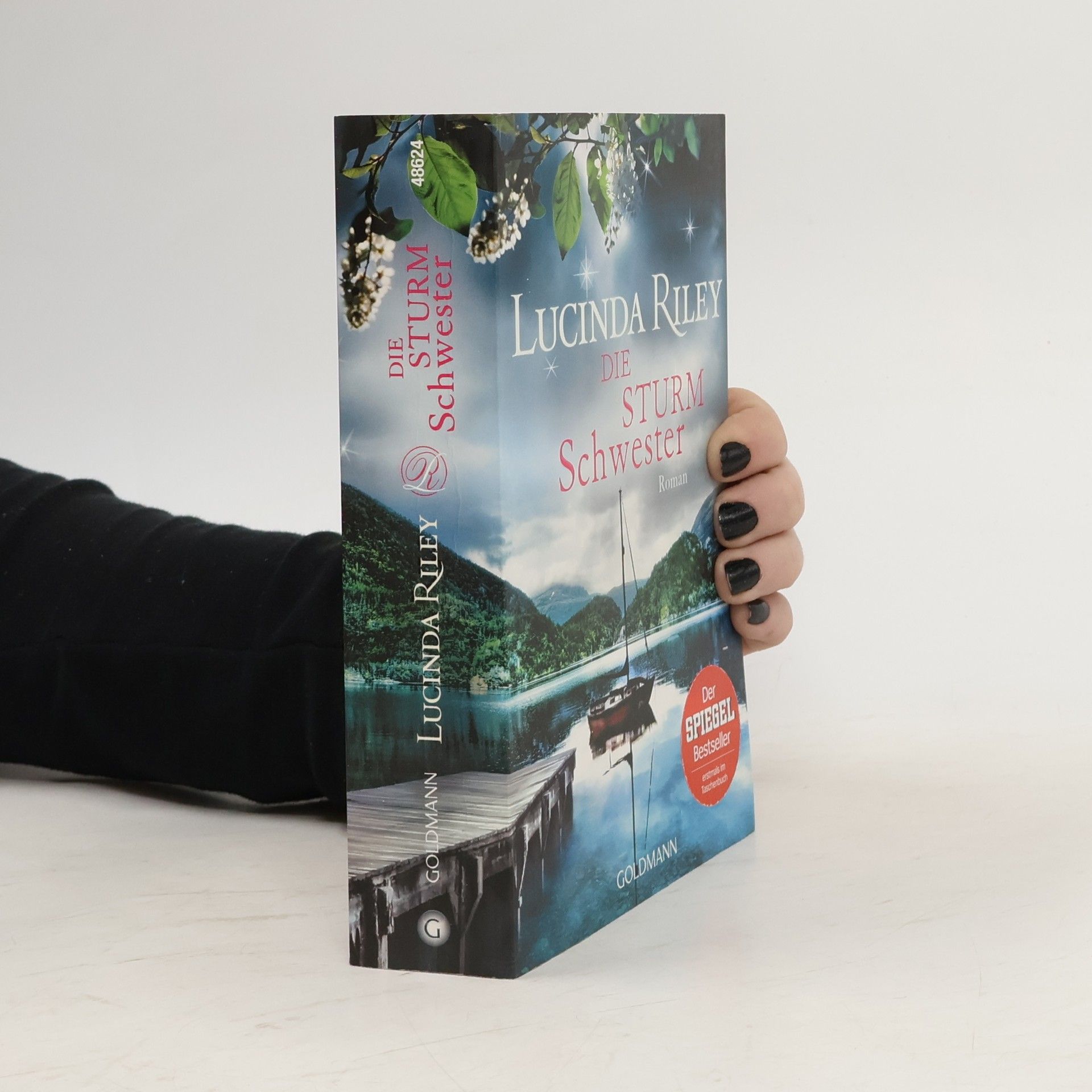 Lucinda Riley Die Sturmschwester