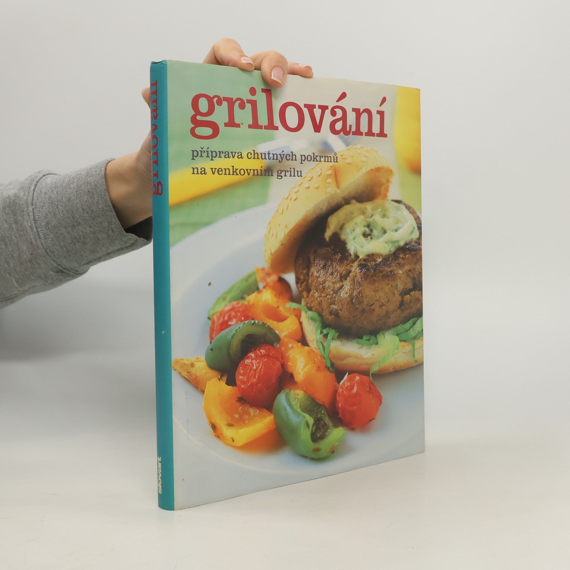 Autorenkollektiv Grilování. Příprava chutných pokrmů na venkovním grilu