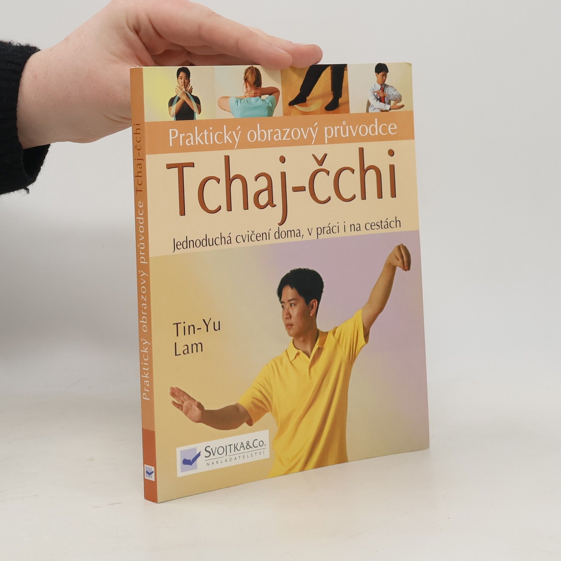 Tin Yu Lam Tchaj čchi - praktický obrazový průvodce