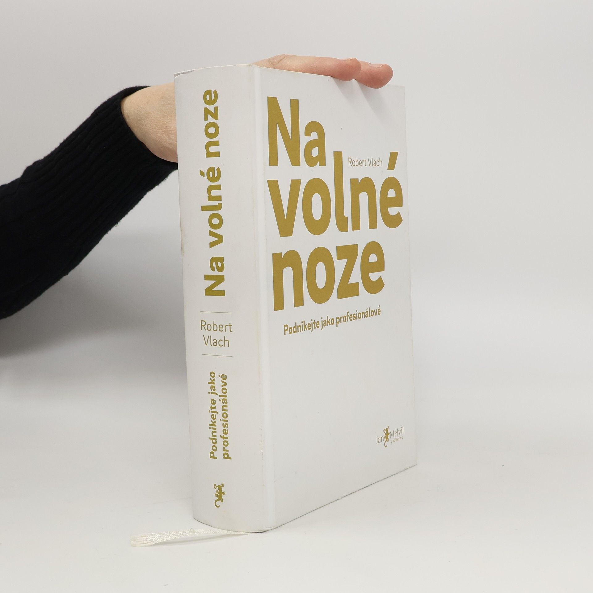 Robert Vlach Na volné noze