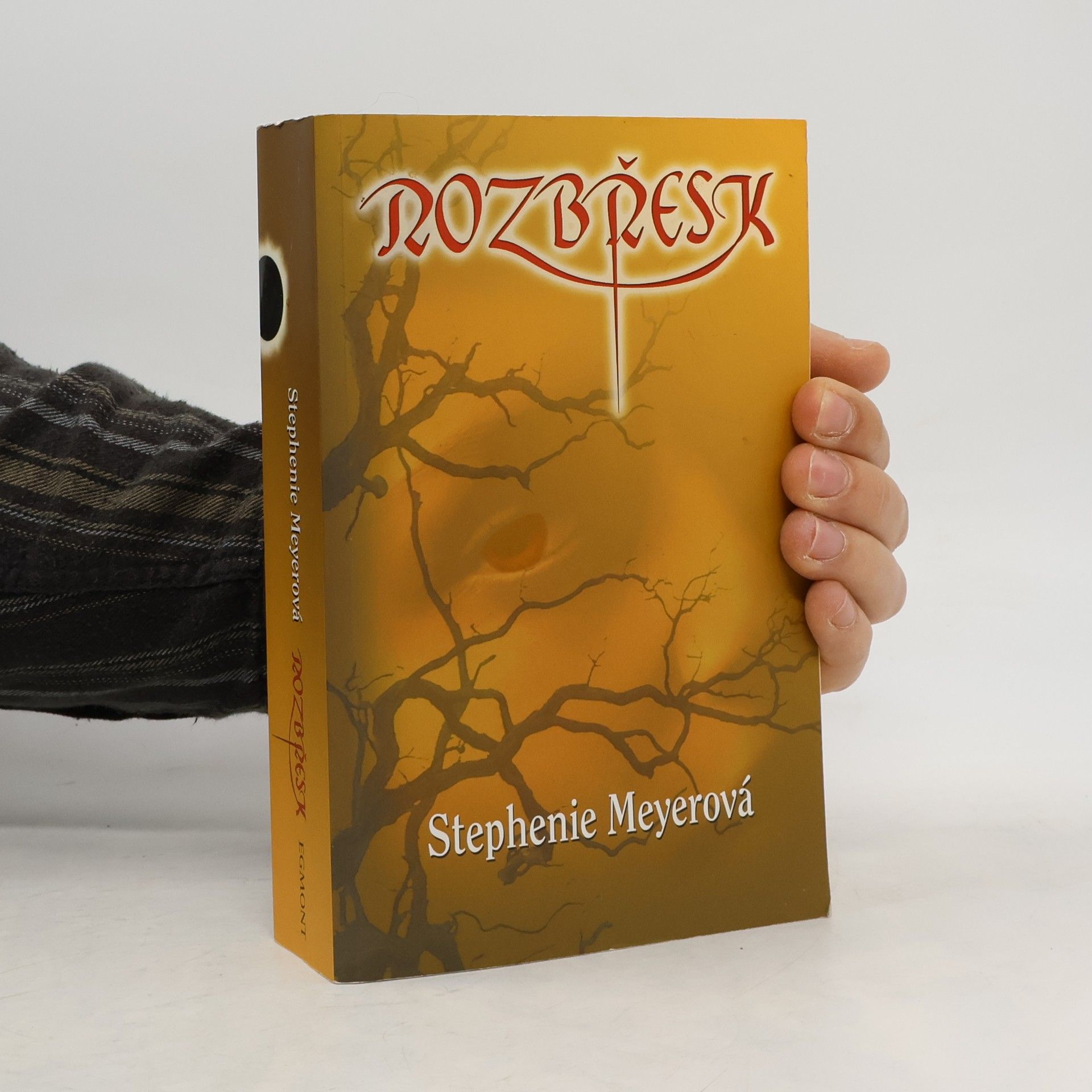 Stephenie Meyer Rozbřesk