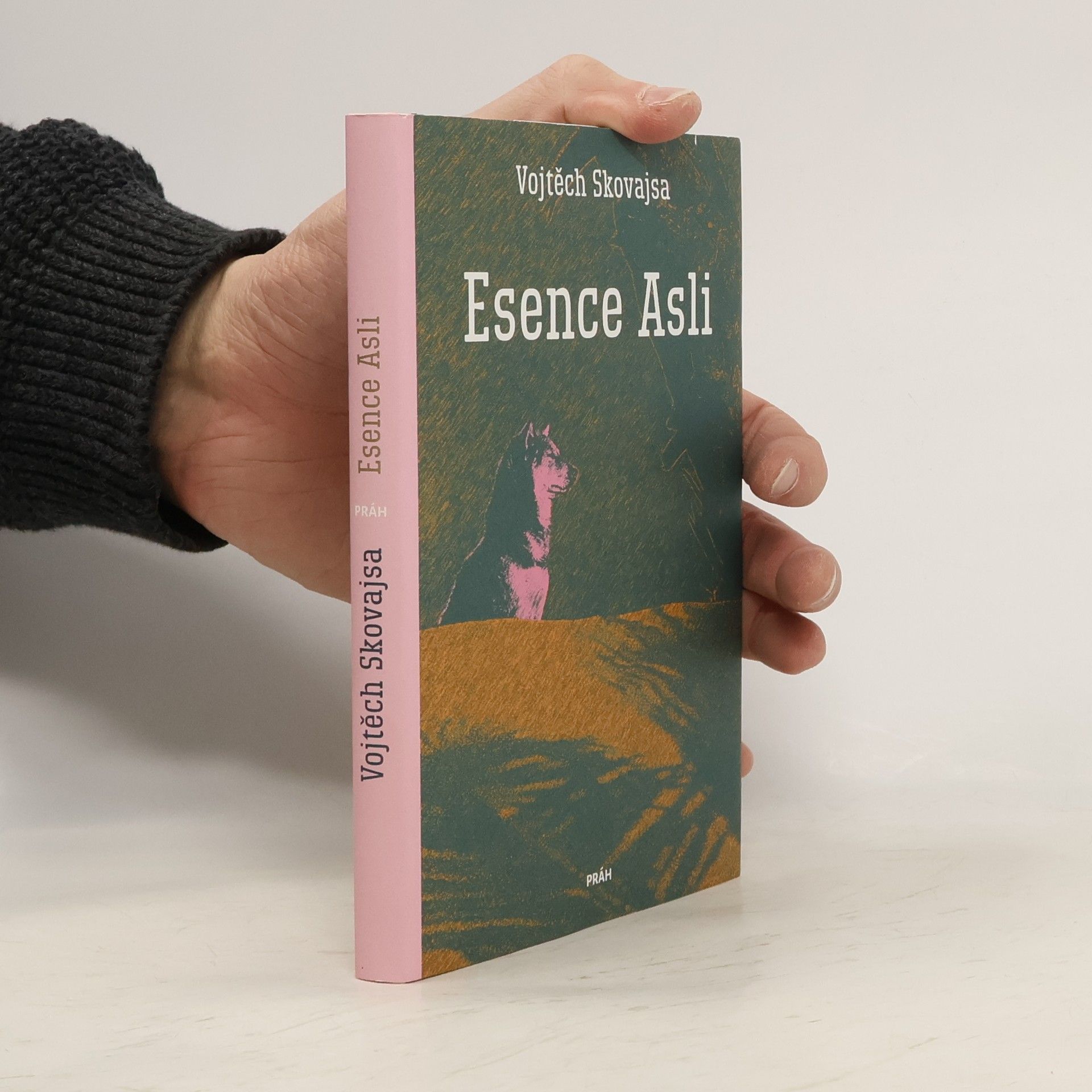 Vojtěch Skovajsa Esence Asli