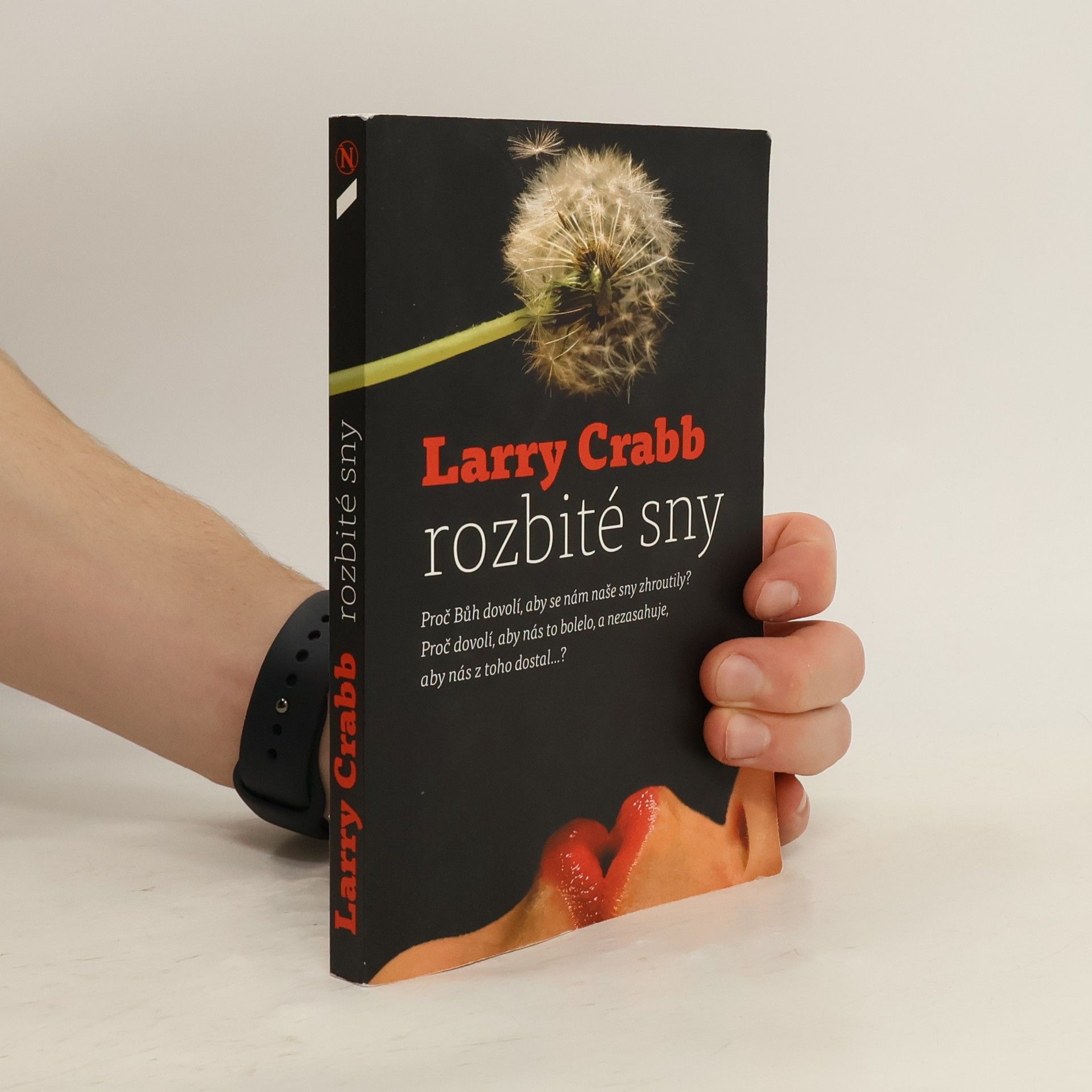 Larry Crabb Rozbité sny