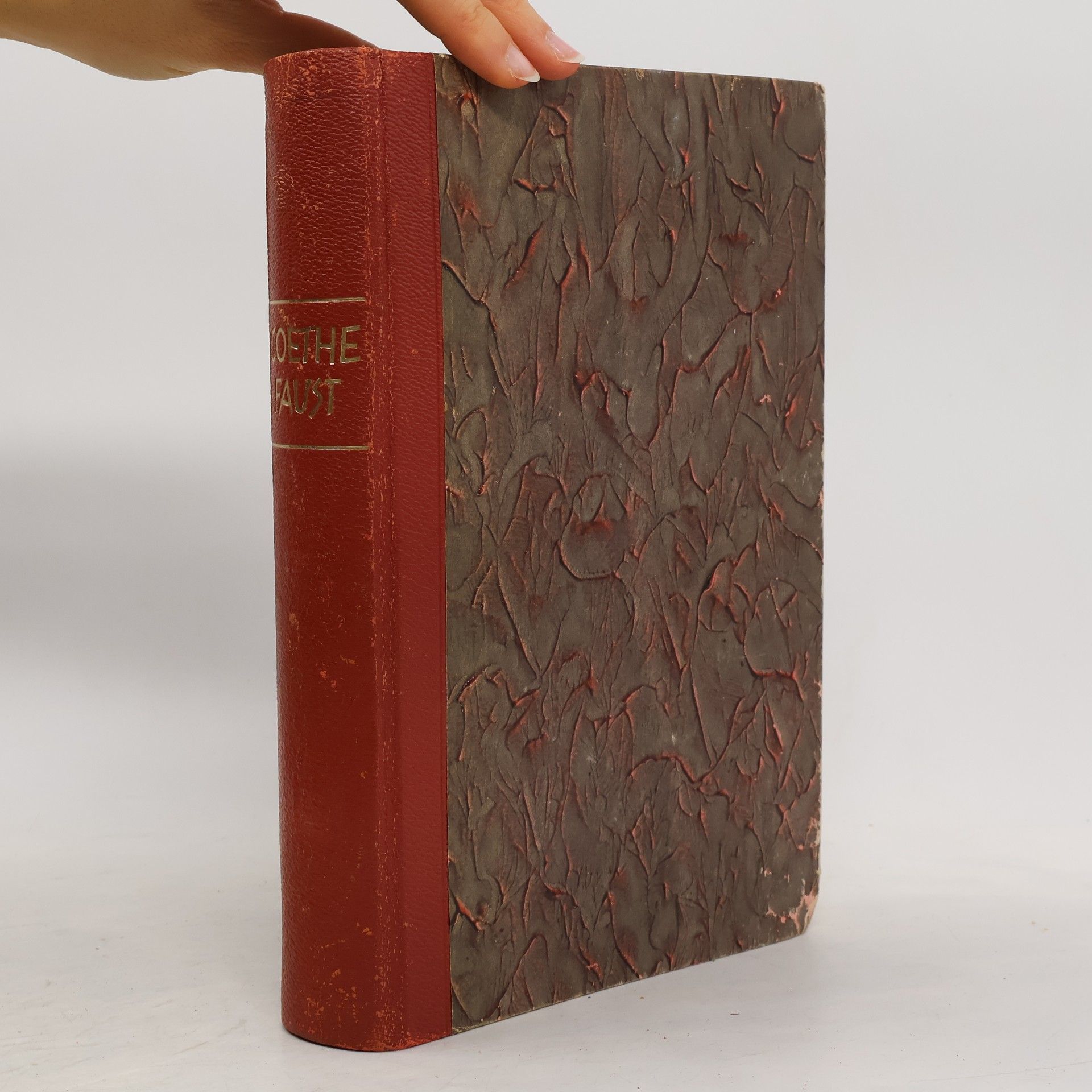 Johann Wolfgang von Goethe Faust