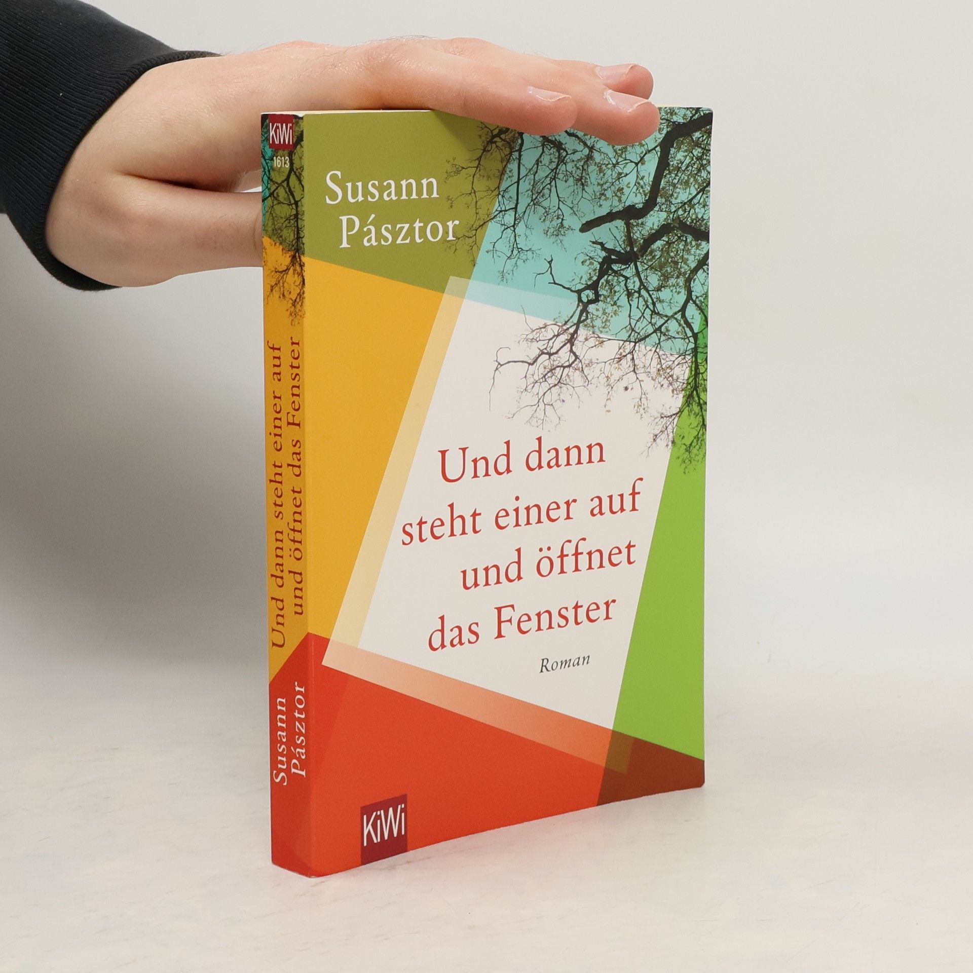 Susann Pásztor Und dann steht einer auf und öffnet das Fenster