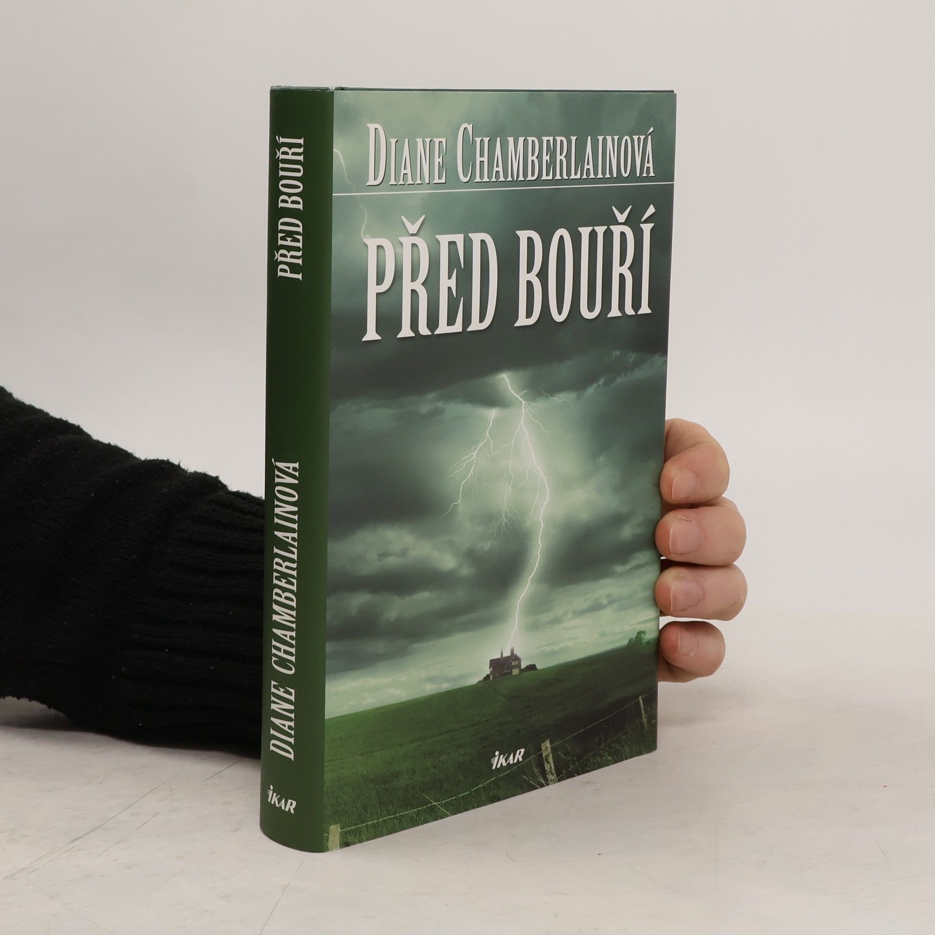 Diane Chamberlain Před bouří