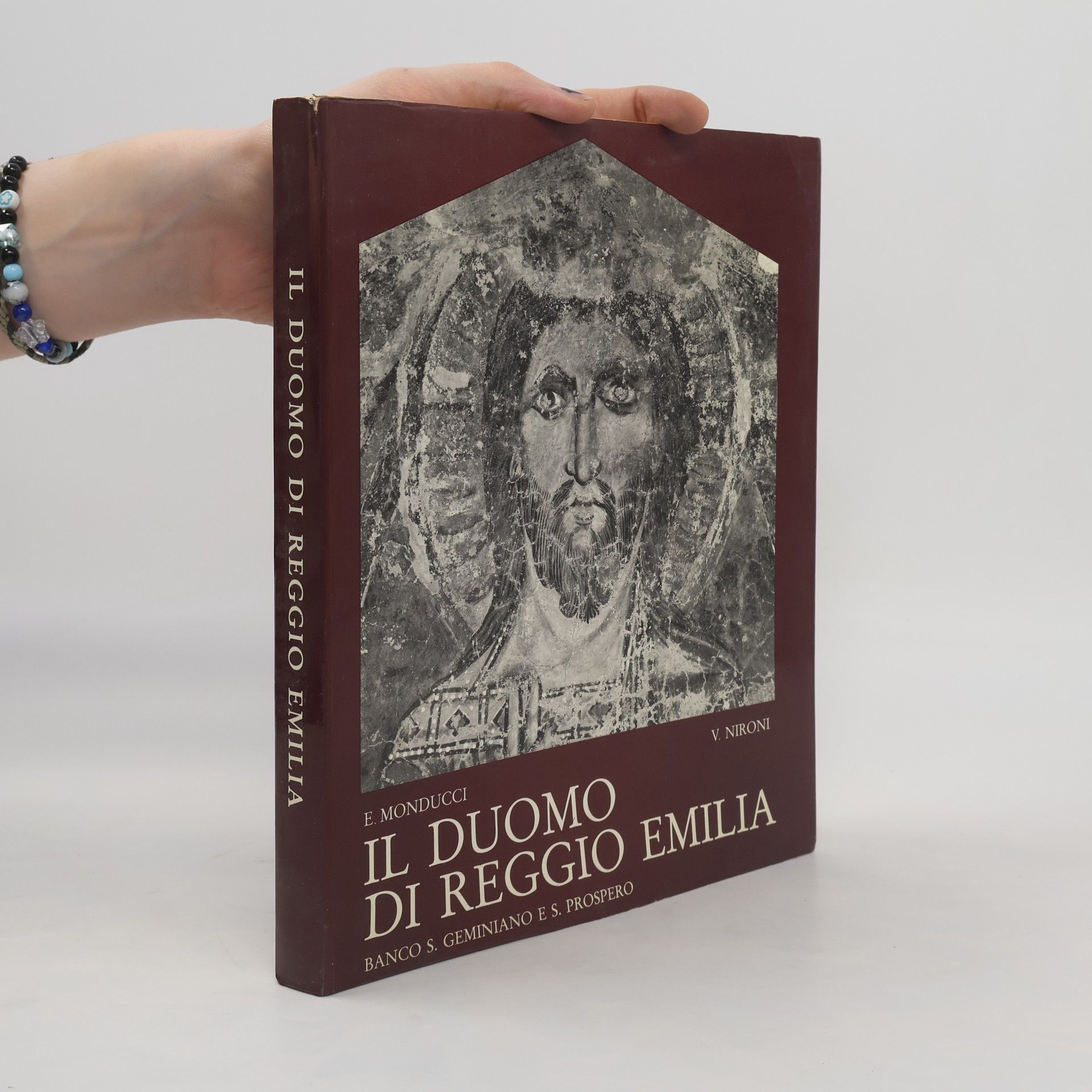 Elio Monducci Il duomo di Reggio Emilia