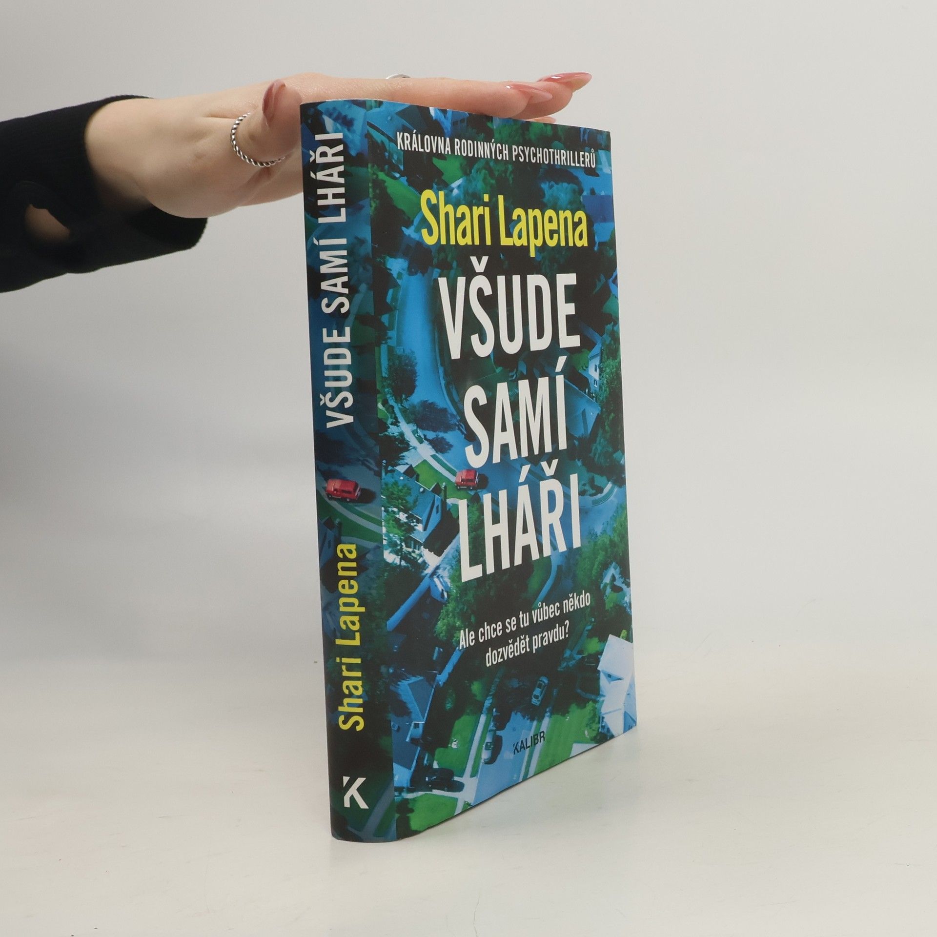 Shari Lapena Všude samí lháři