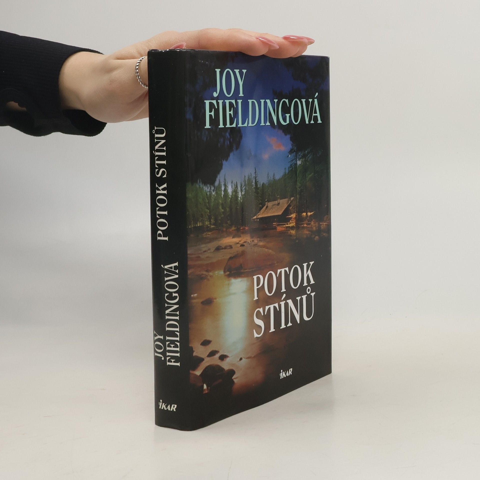 Joy Fielding Potok stínů