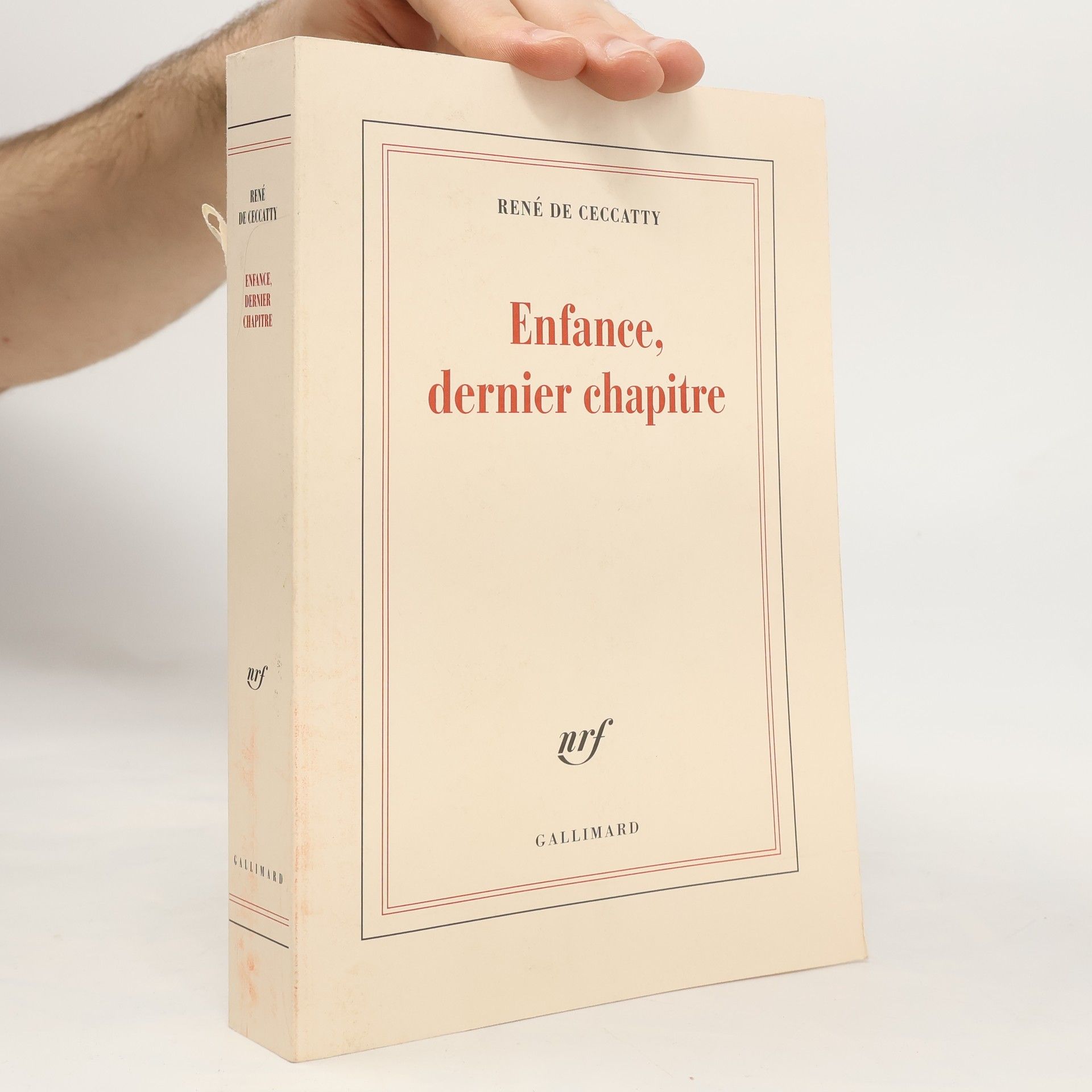 René de Ceccatty Enfance, dernier chapitre