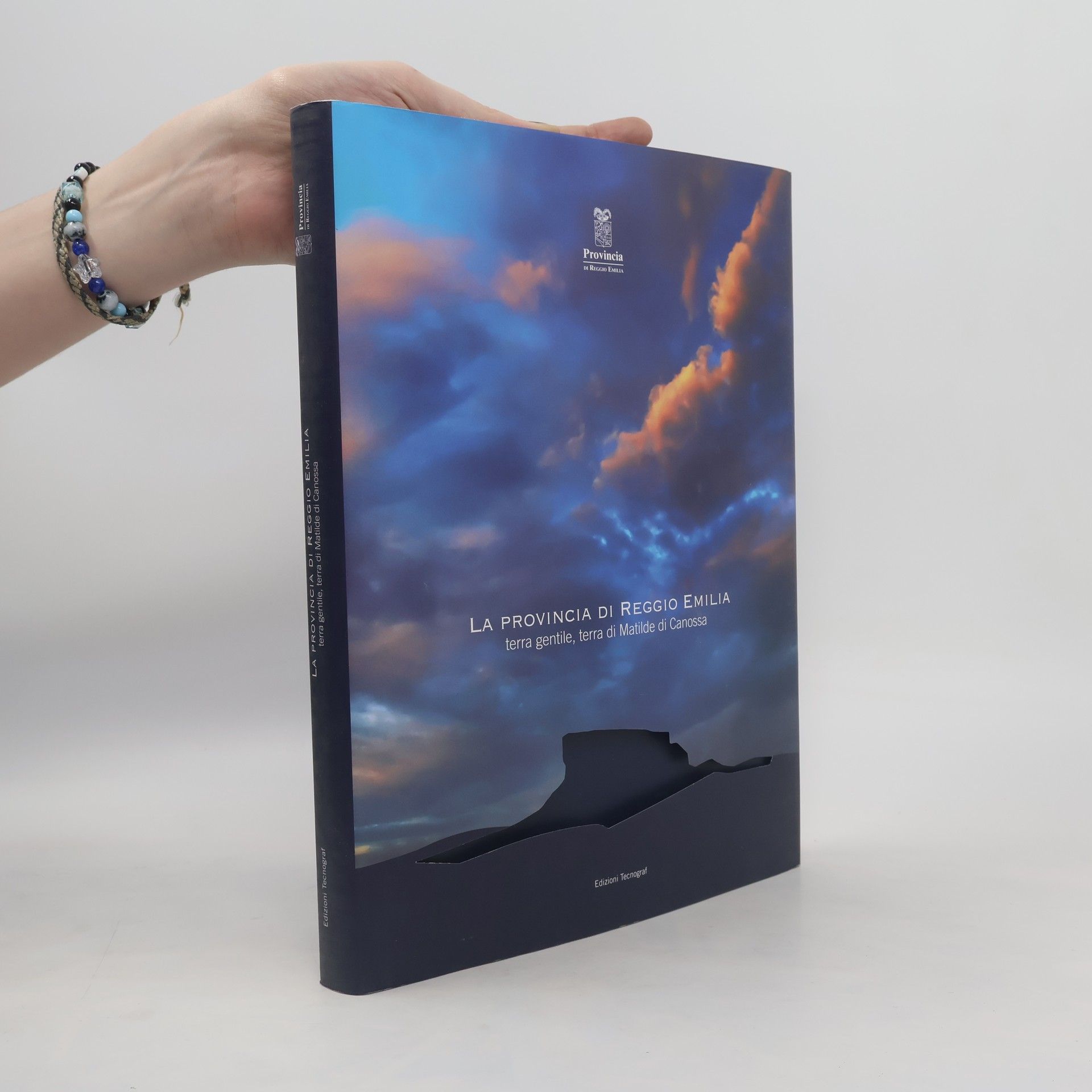 La provincia di Reggio Emilia. Terra gentile, terra di Matilde di Canossa. Storia, tradizioni, prodotti culturali, paesaggi