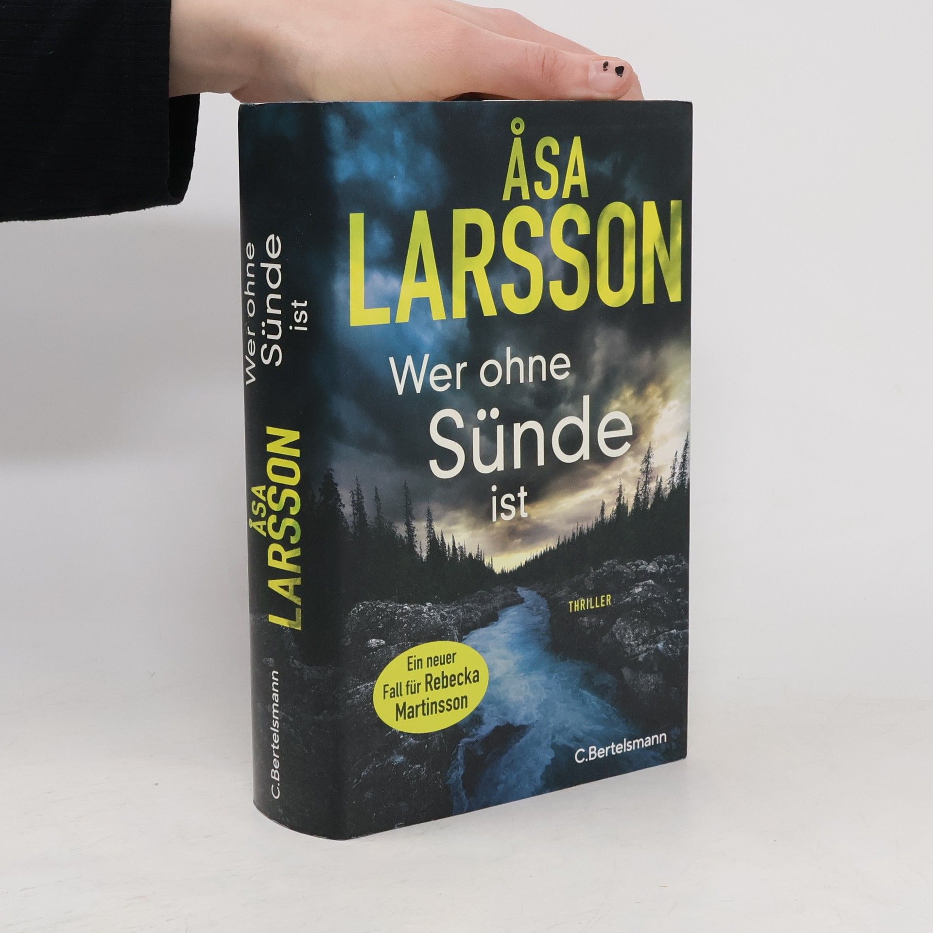 Åsa Larsson Wer ohne Sünde ist