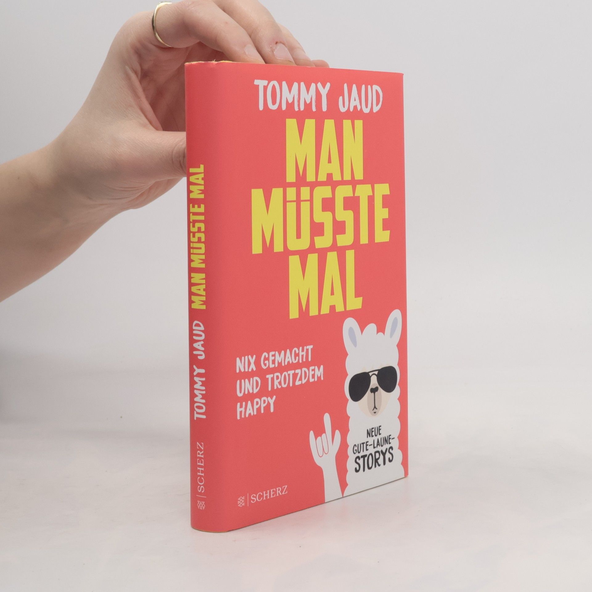 Tommy Jaud Man müsste mal