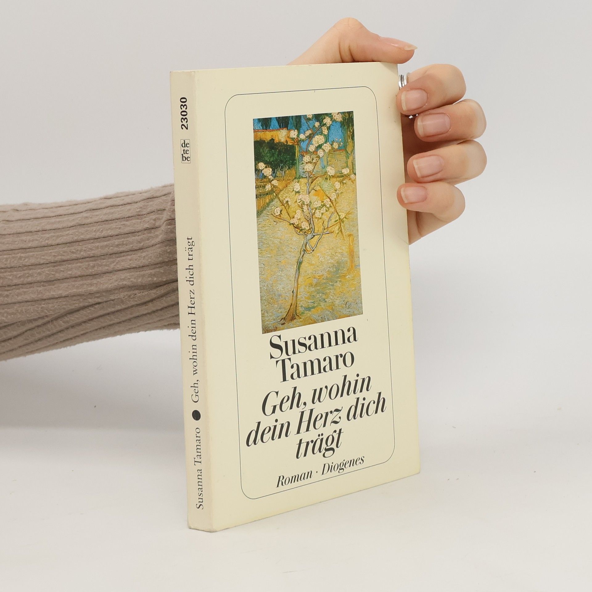 Susanna Tamarová Geh, wohin dein Herz dich trägt