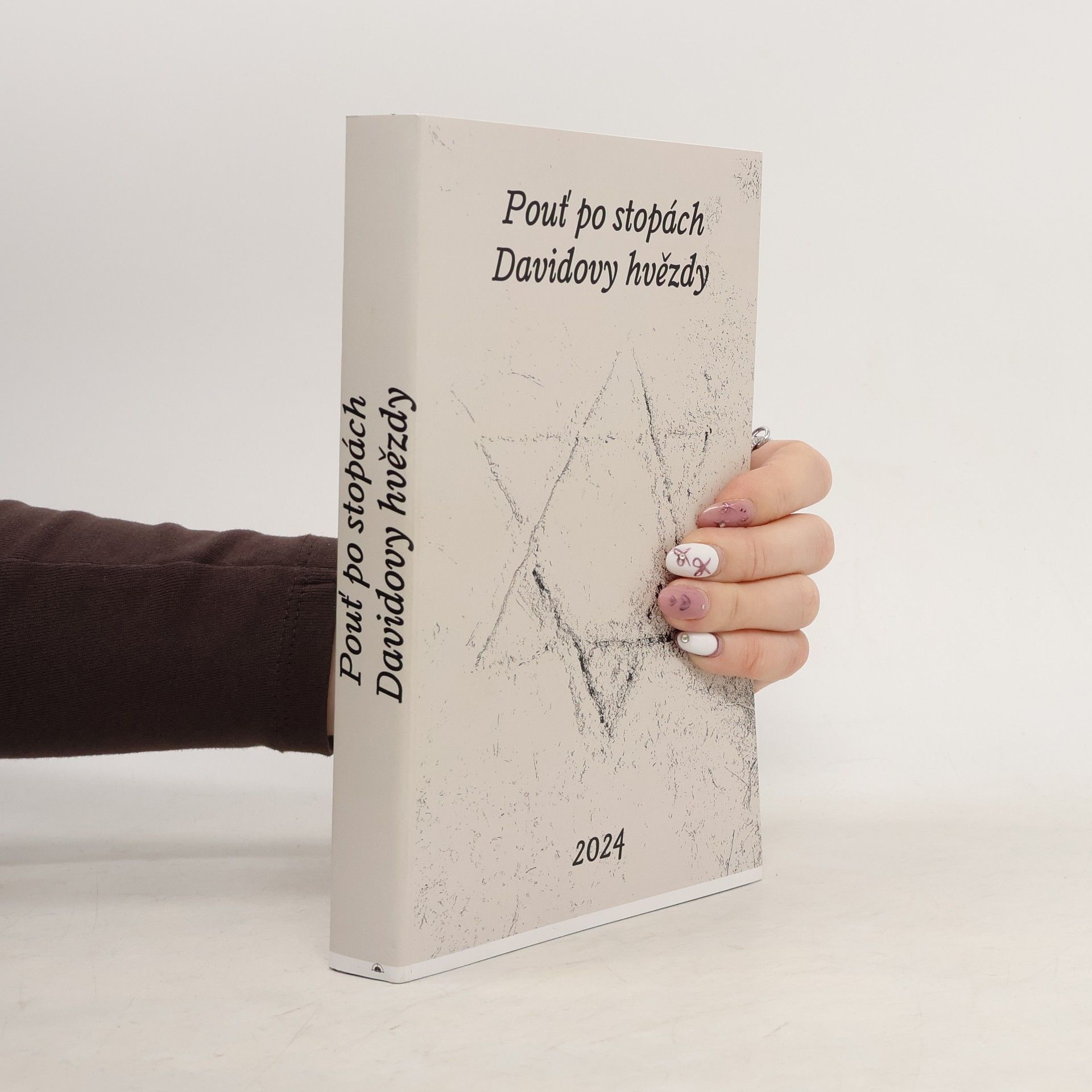 Autorenkollektiv Pouť po stopách Davidovy hvězdy