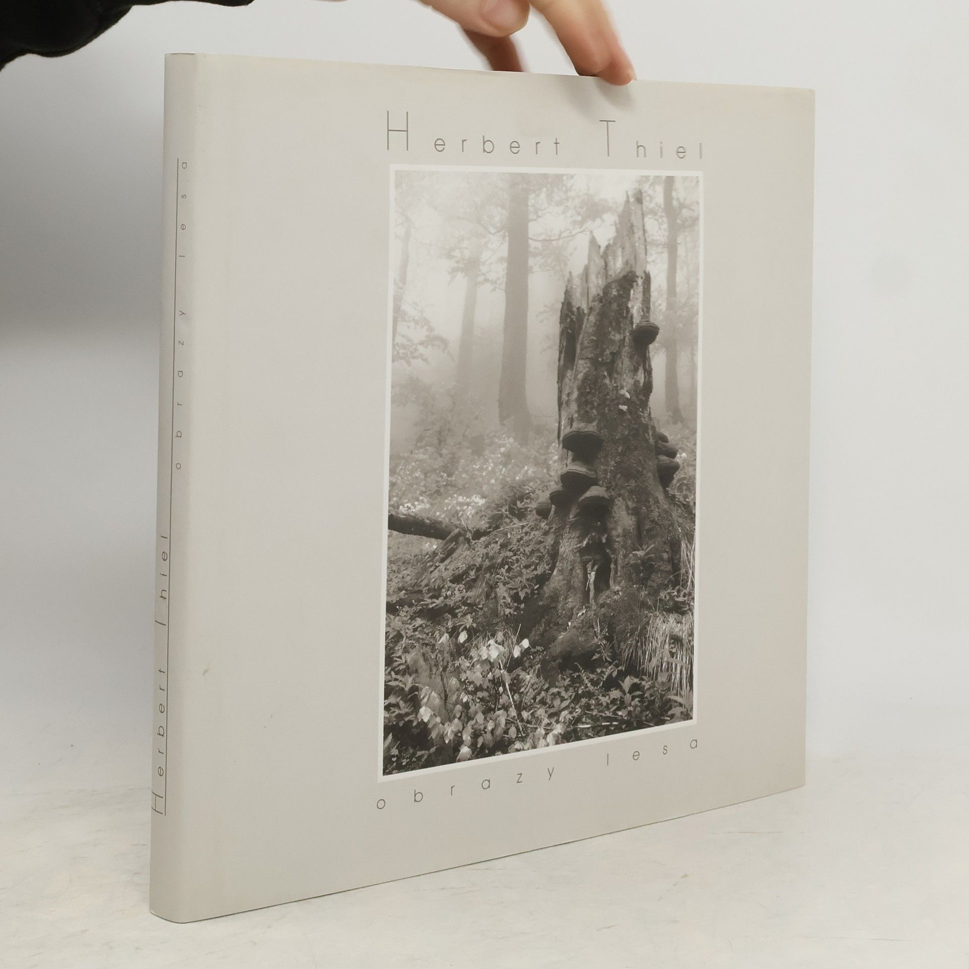 Herbert Thiel Obrazy lesa