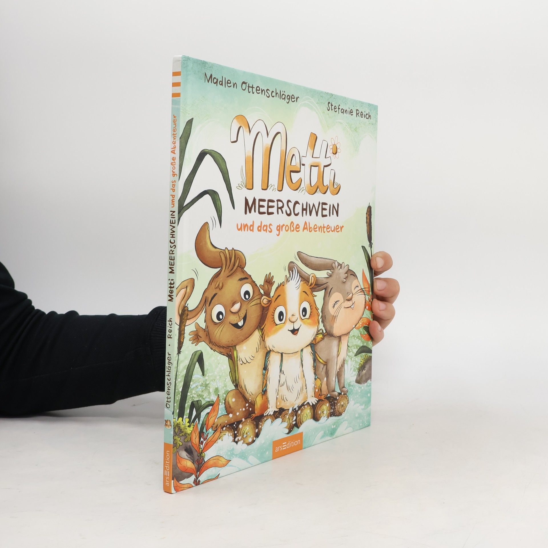 Madlen Ottenschläger Metti Meerschwein und das große Abenteuer