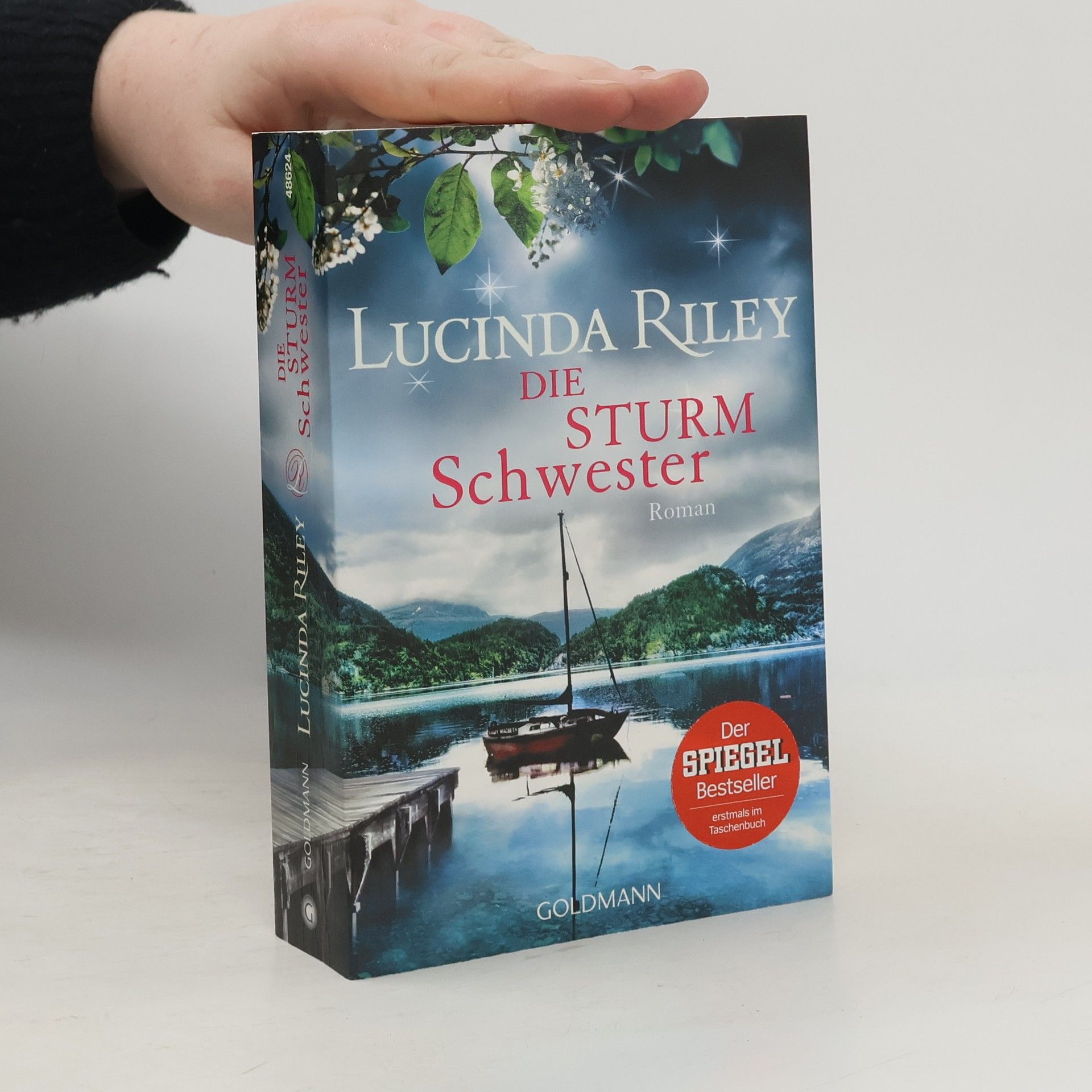 Lucinda Riley Die Sturmschwester