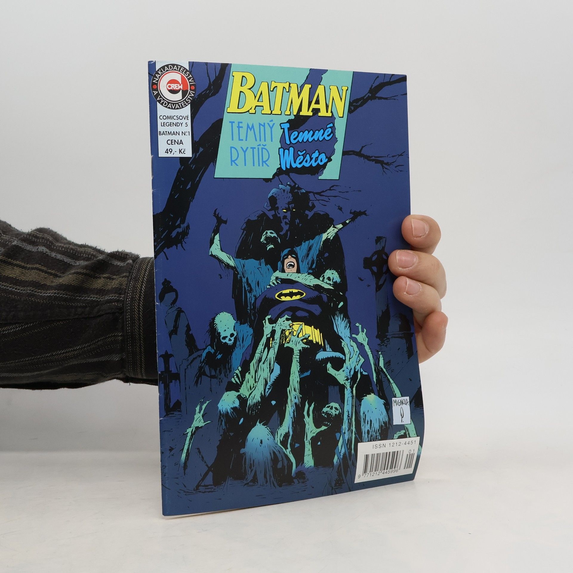 Autorenkollektiv Batman. Temný rytíř. Temné město