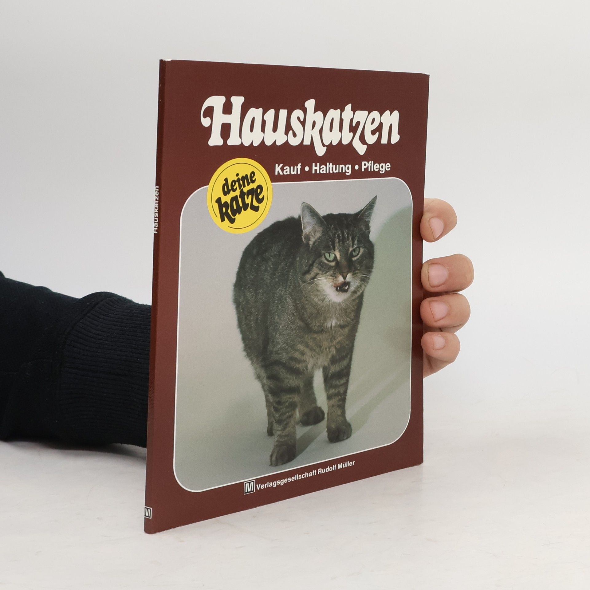Egon Nieser Hauskatzen. Kauf, Haltung, Pflege.