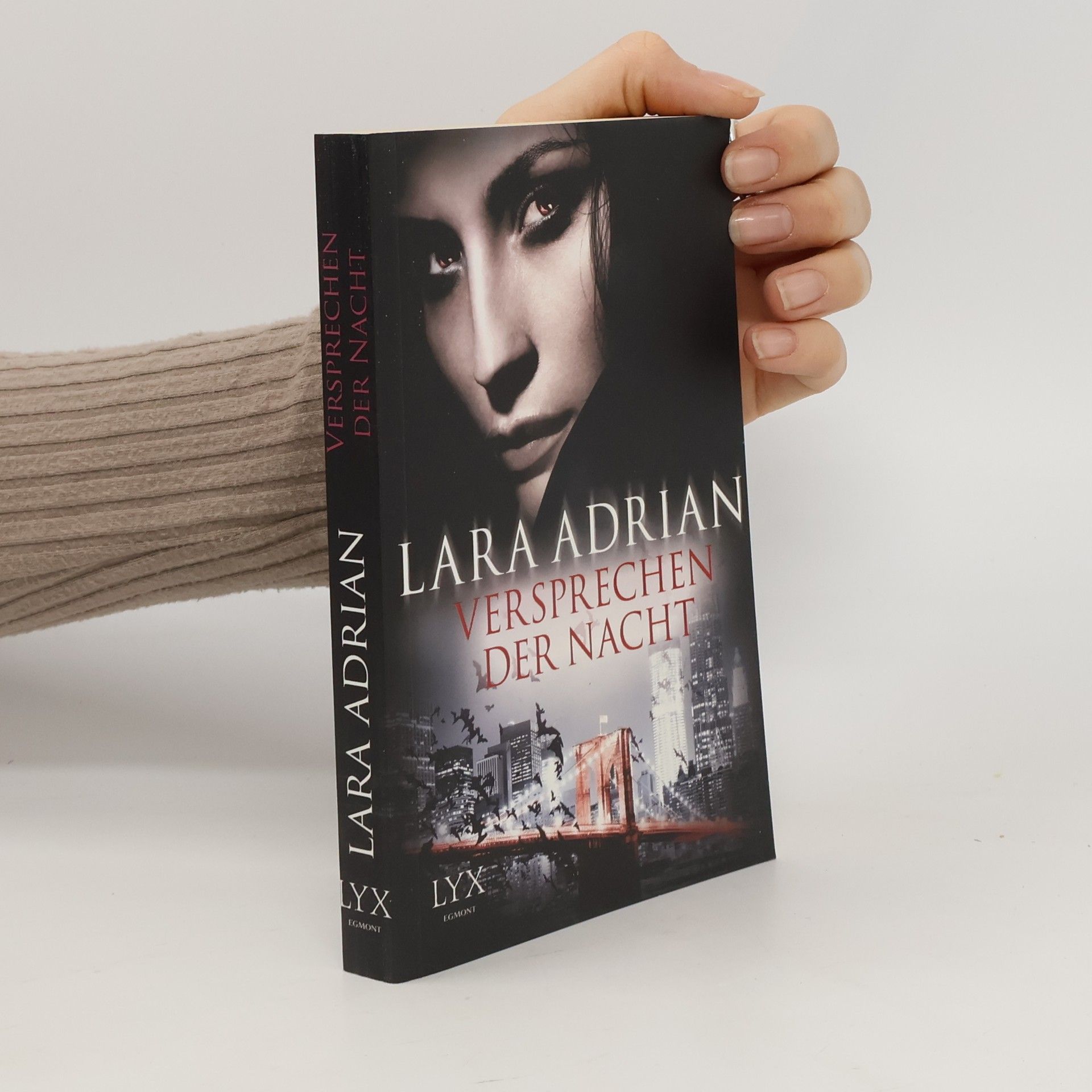 Lara Adrian Versprechen der Nacht
