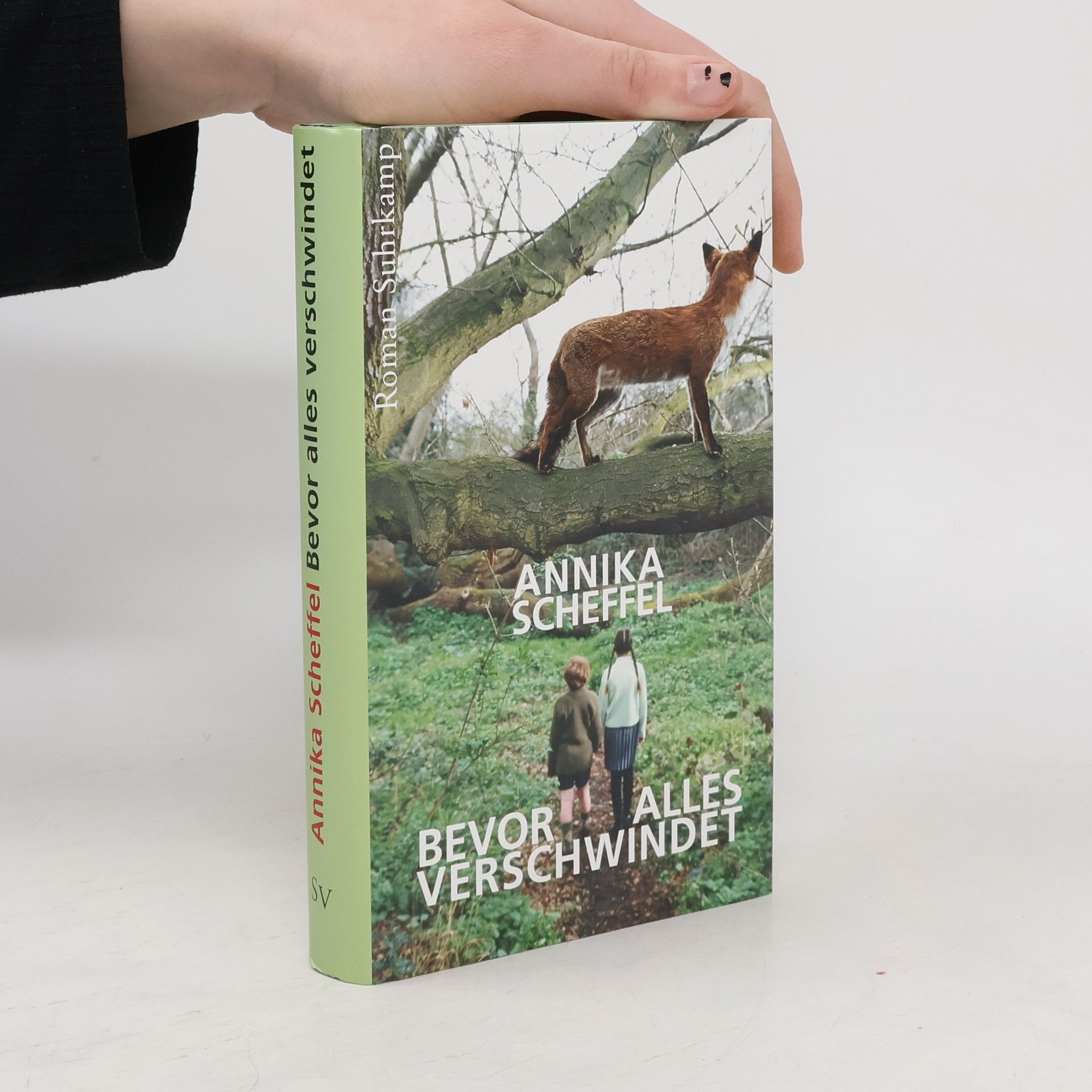 Annika Scheffel Bevor alles verschwindet