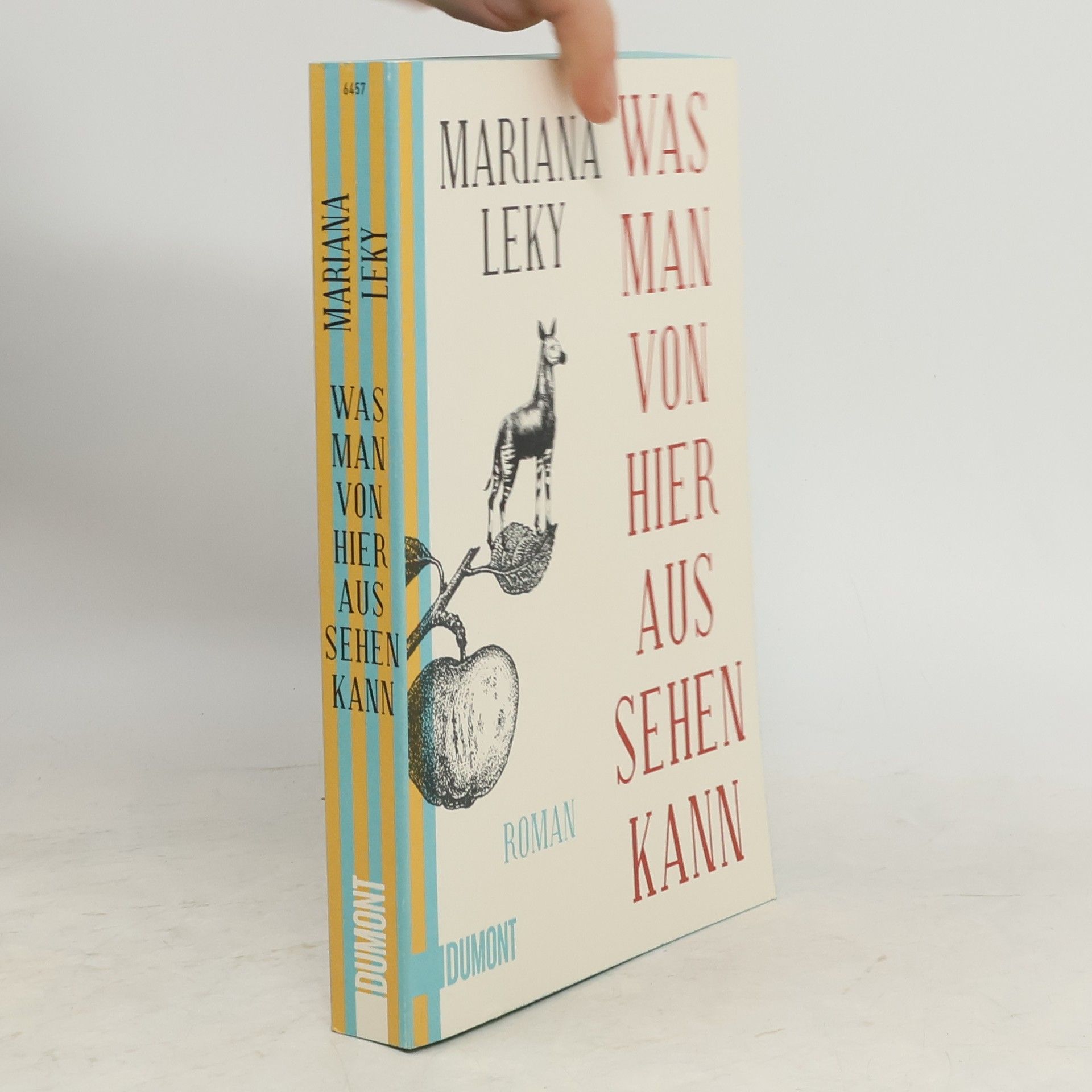 Mariana Leky Was man von hier aus sehen kann