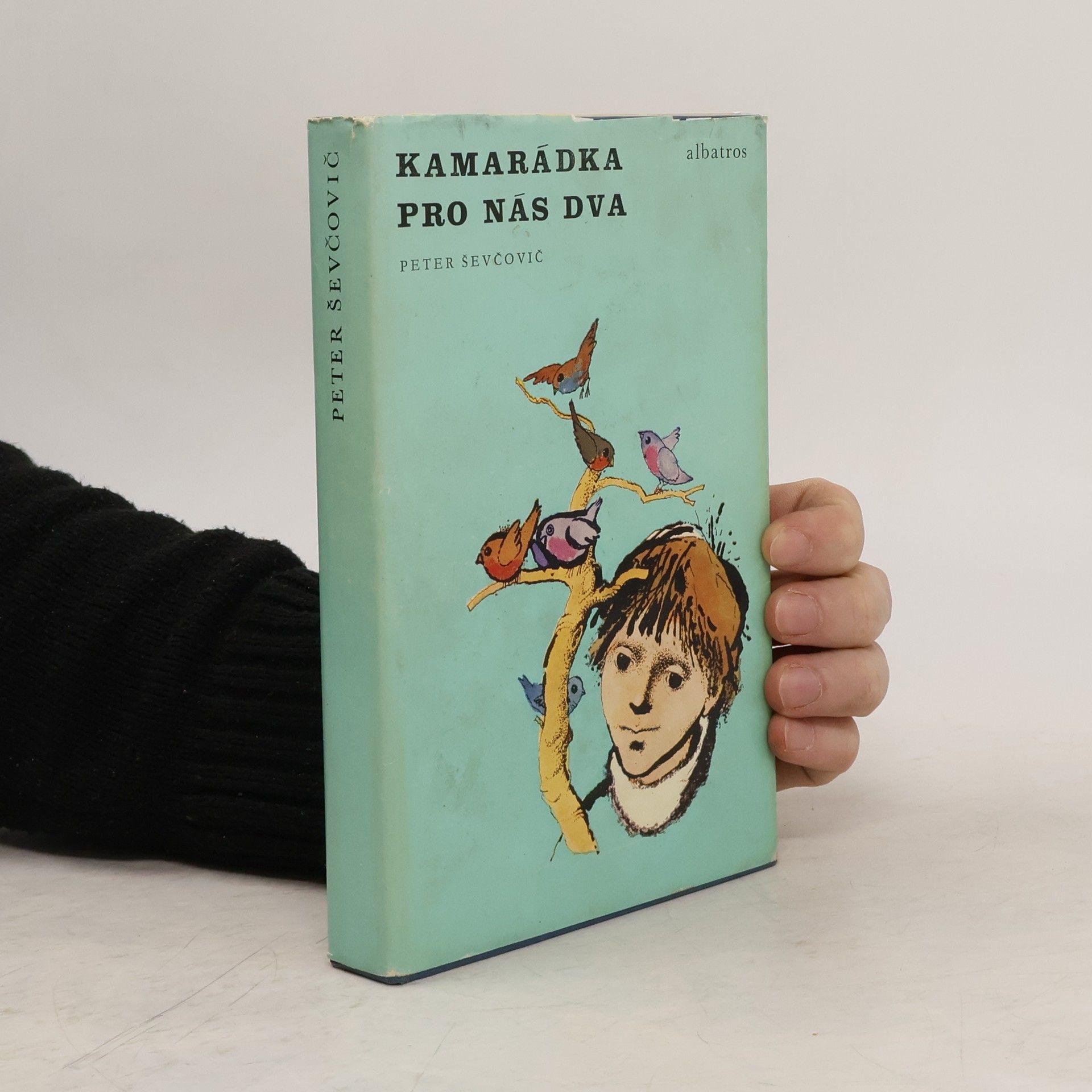 Peter Ševčovič Kamarádka pro nás dva