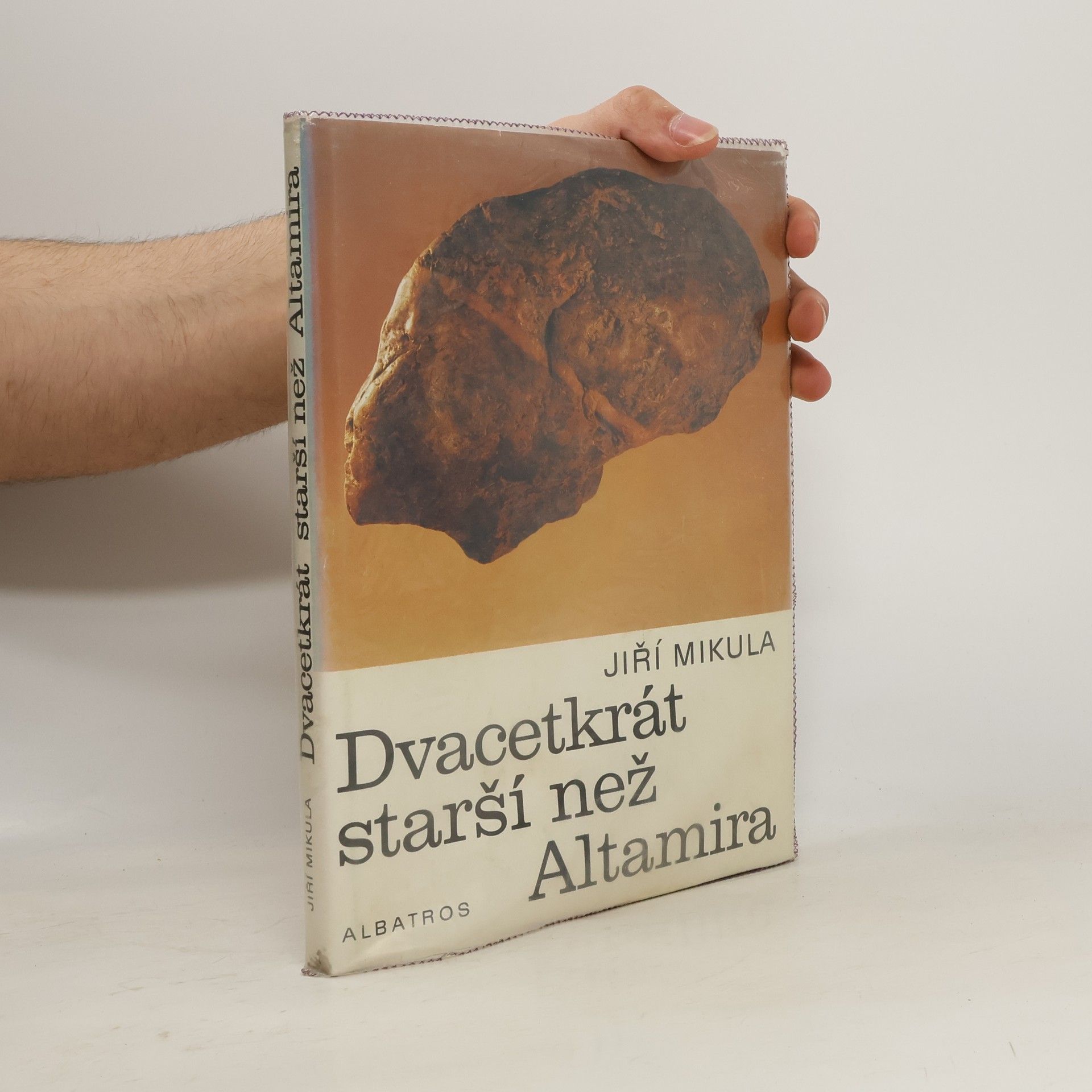 Dvacetkrát starší než Altamira