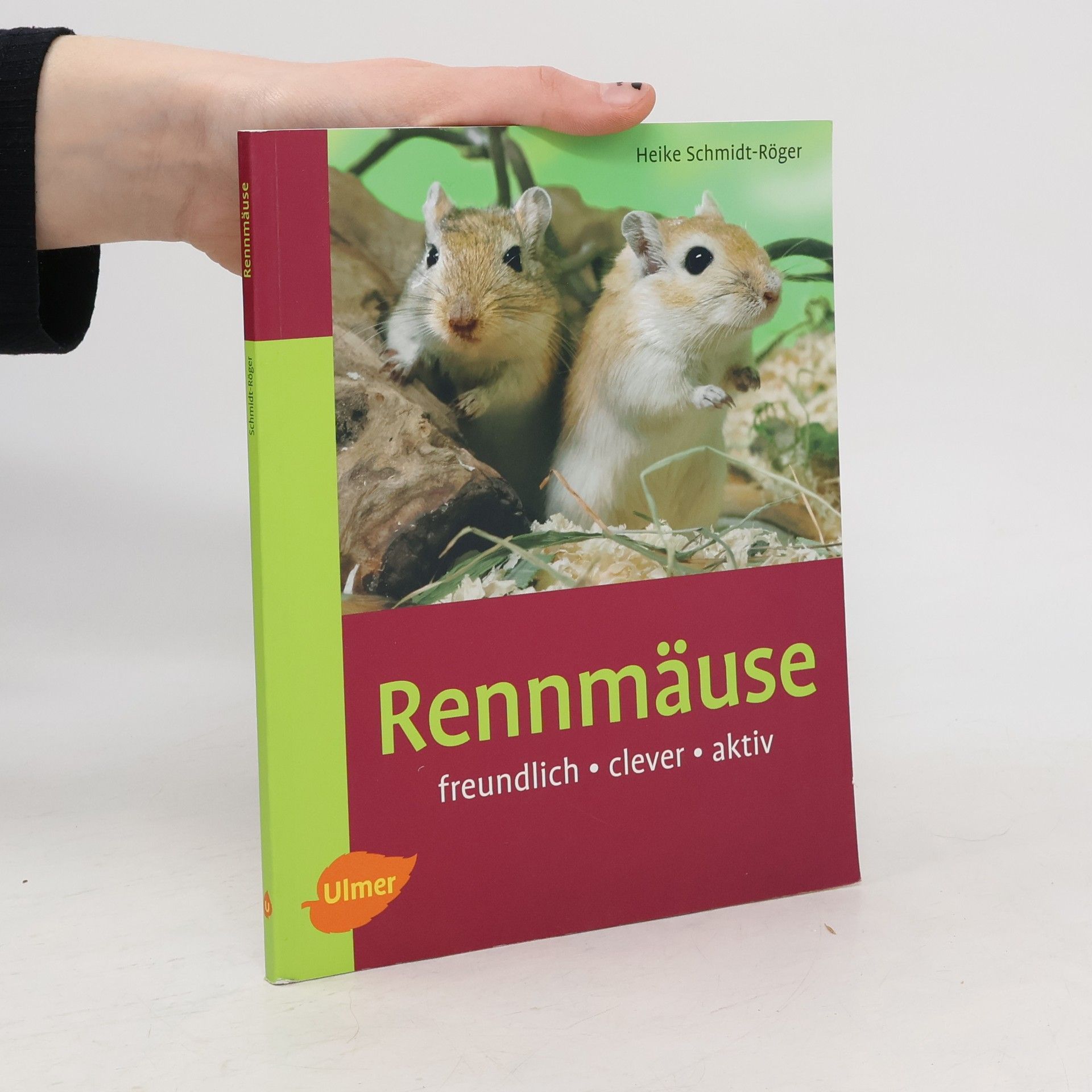 Heike Schmidt-Röger Rennmäuse: freundlich - clever - aktiv